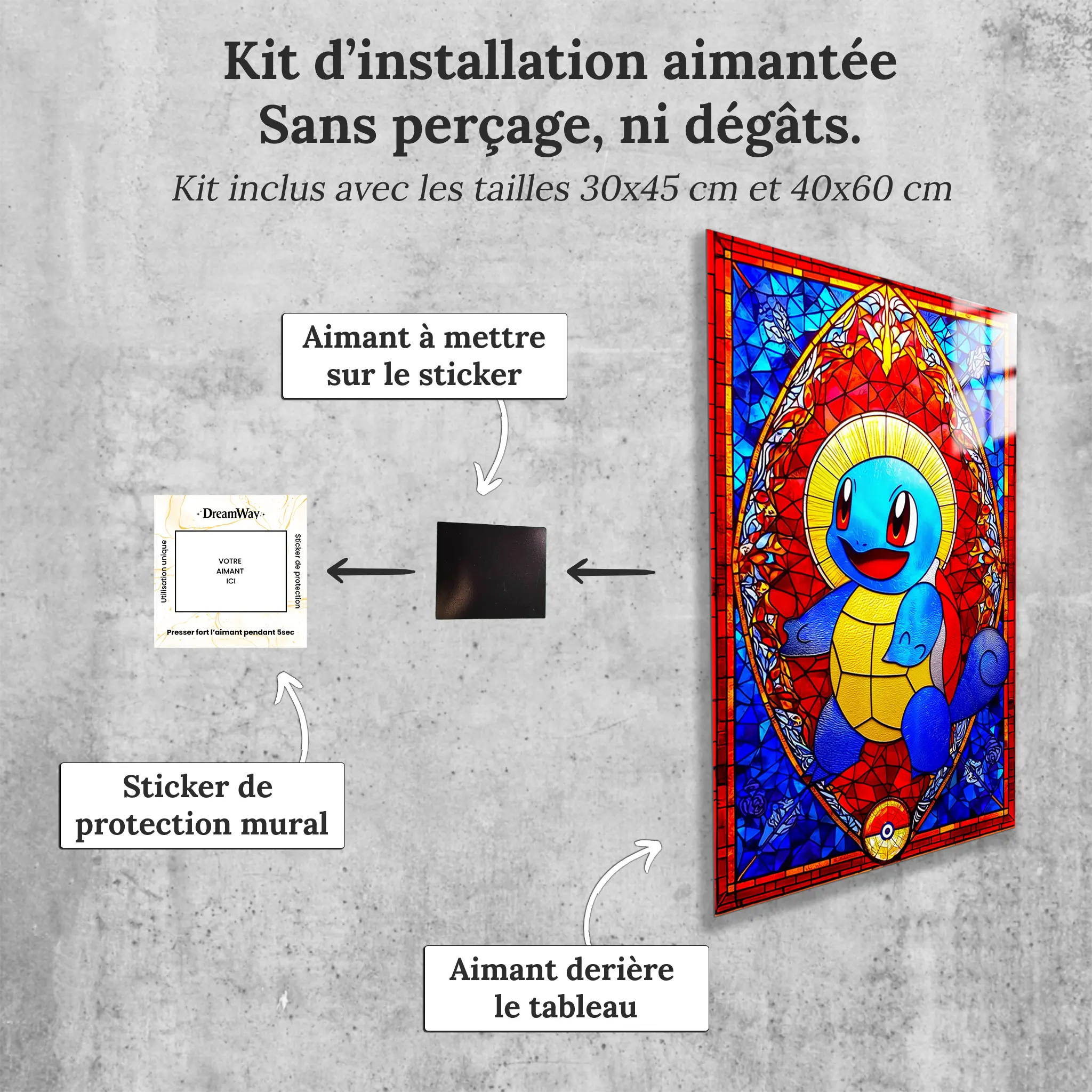 Carapuce-vitrail-avec-installation-aimantee | DreamWay