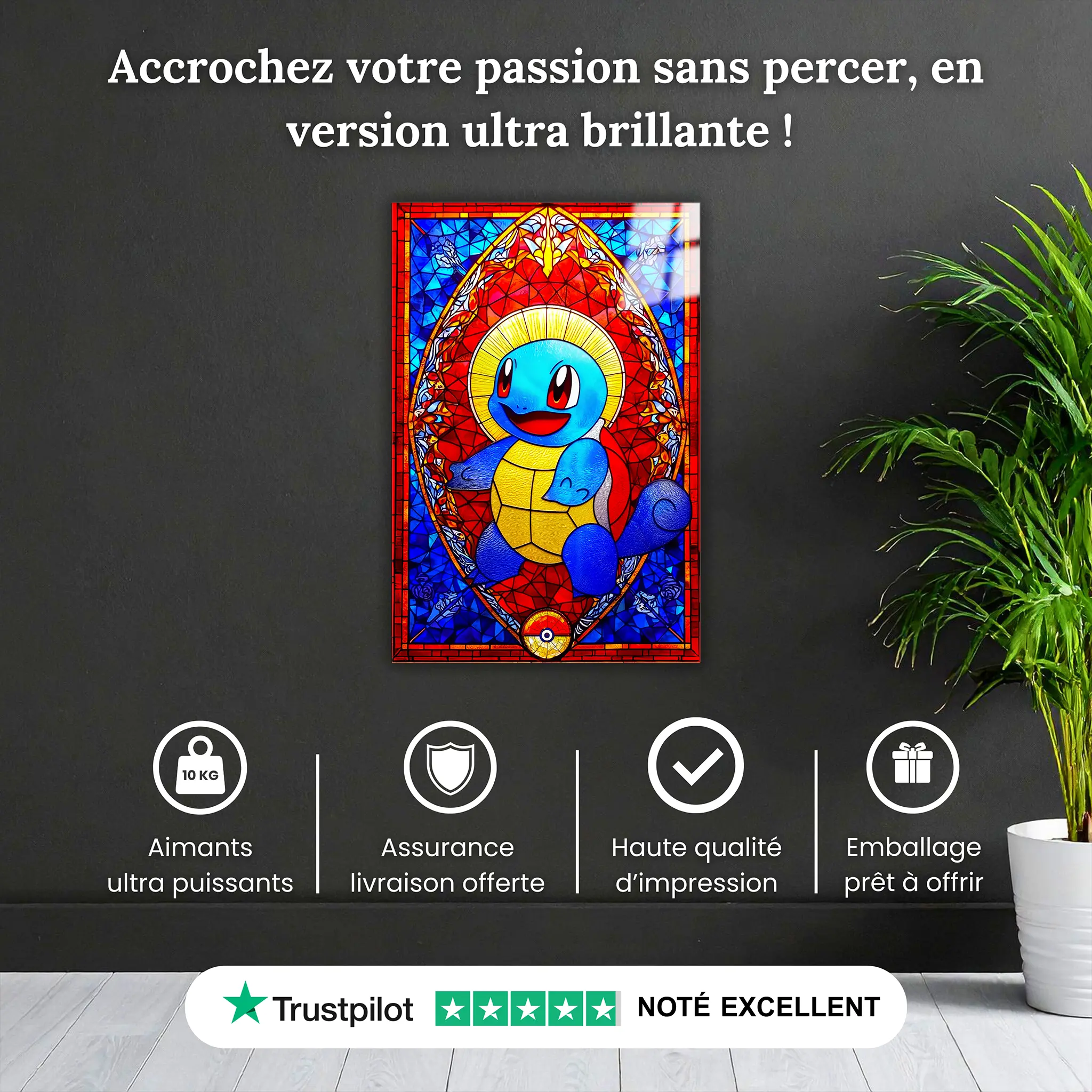 Carapuce-vitrail-pourquoi-acheter | DreamWay