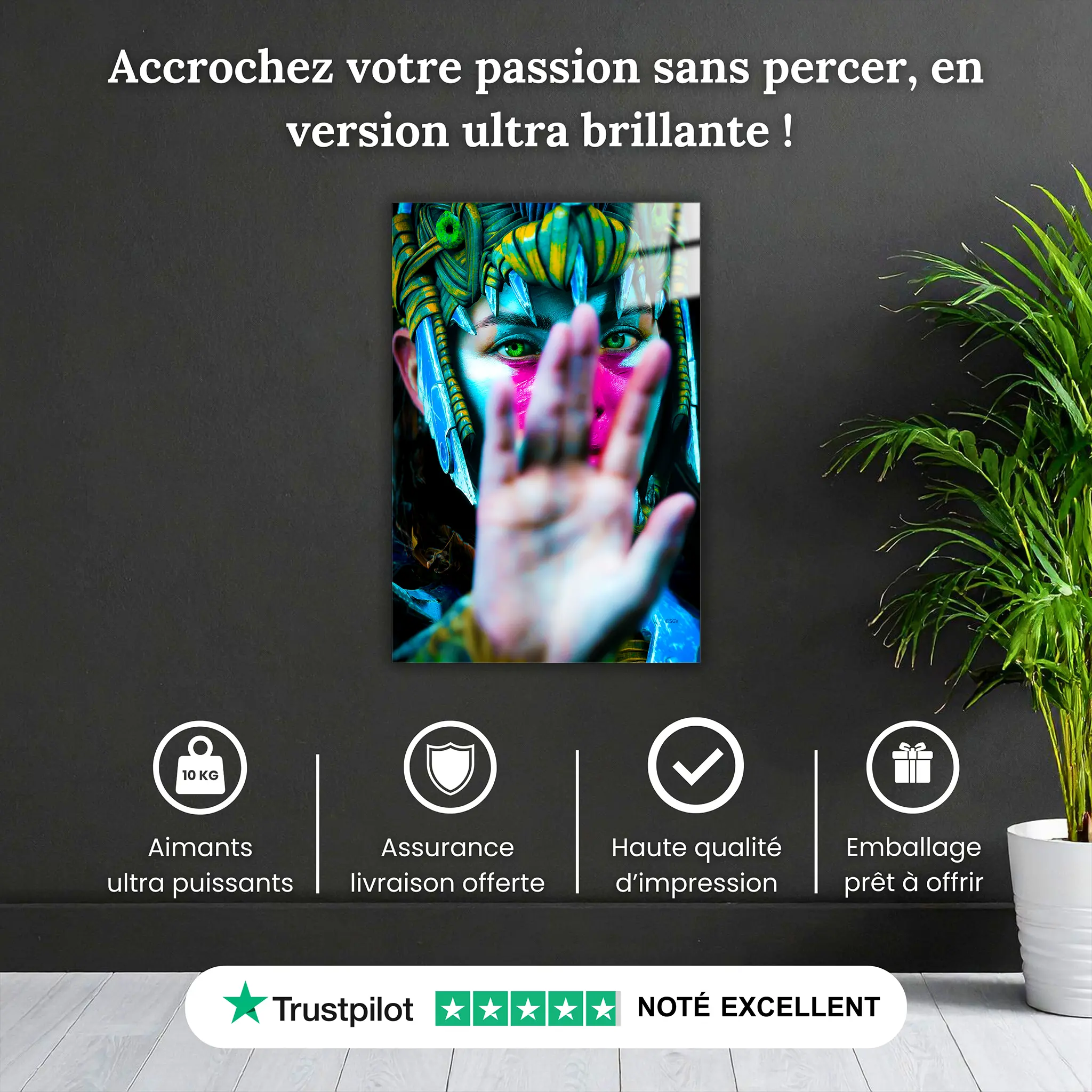 Tableau-Aloy-horizon-forbidden-west-pourquoi-acheter | DreamWay