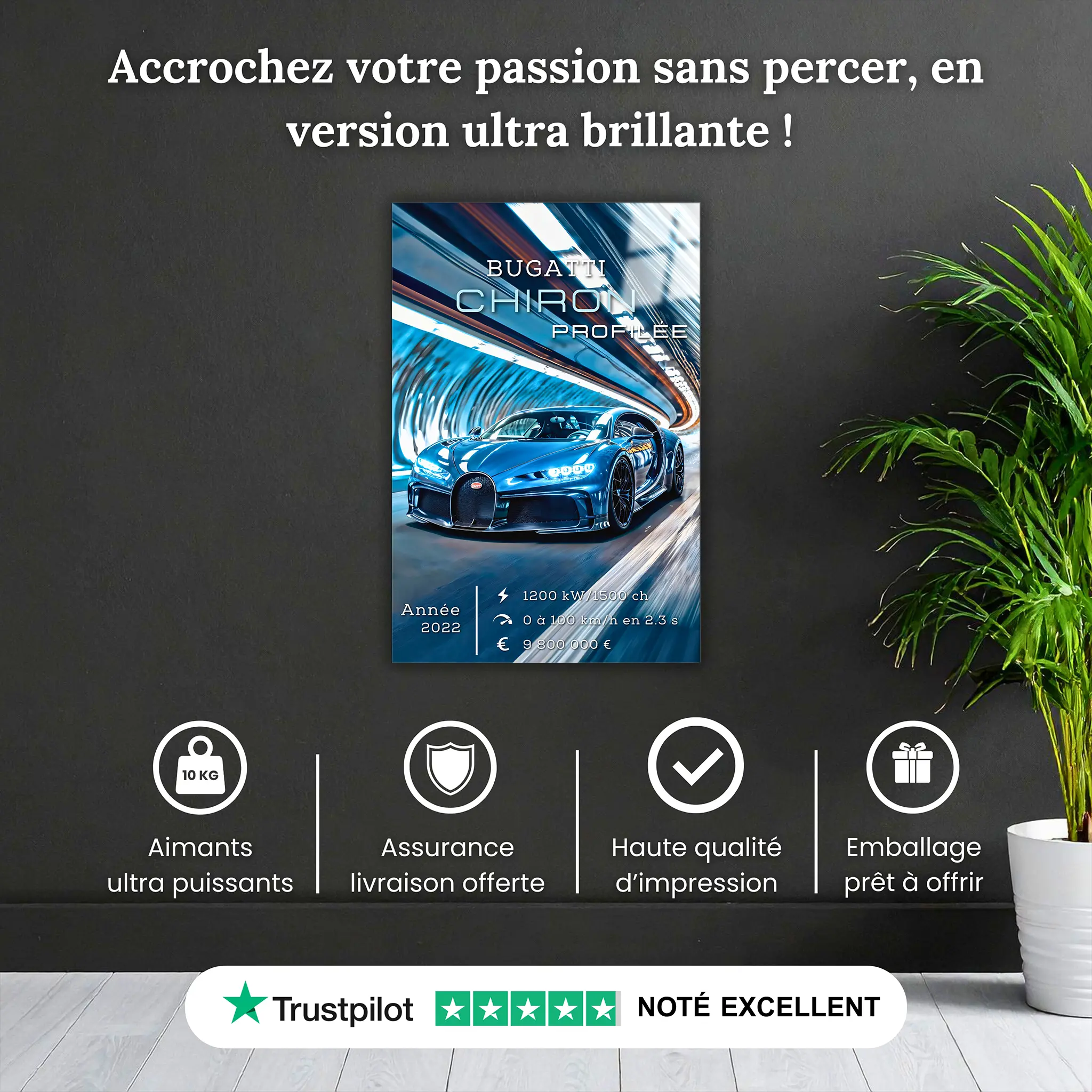Tableau-Bugatti-Chiron-Profilee-pourquoi-acheter | DreamWay