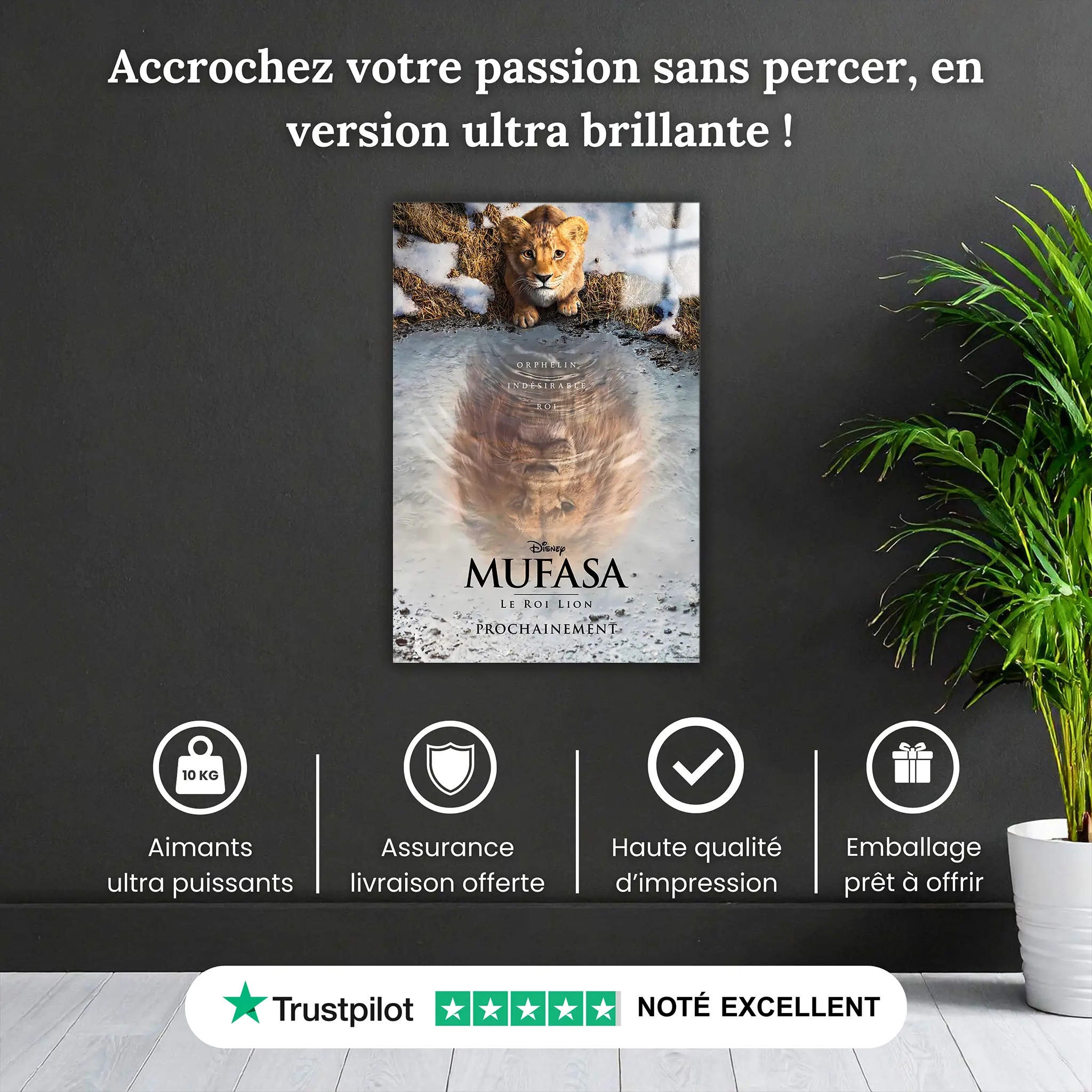 Tableau-Disney-Affiche-Mufasa-pourquoi-acheter | DreamWay