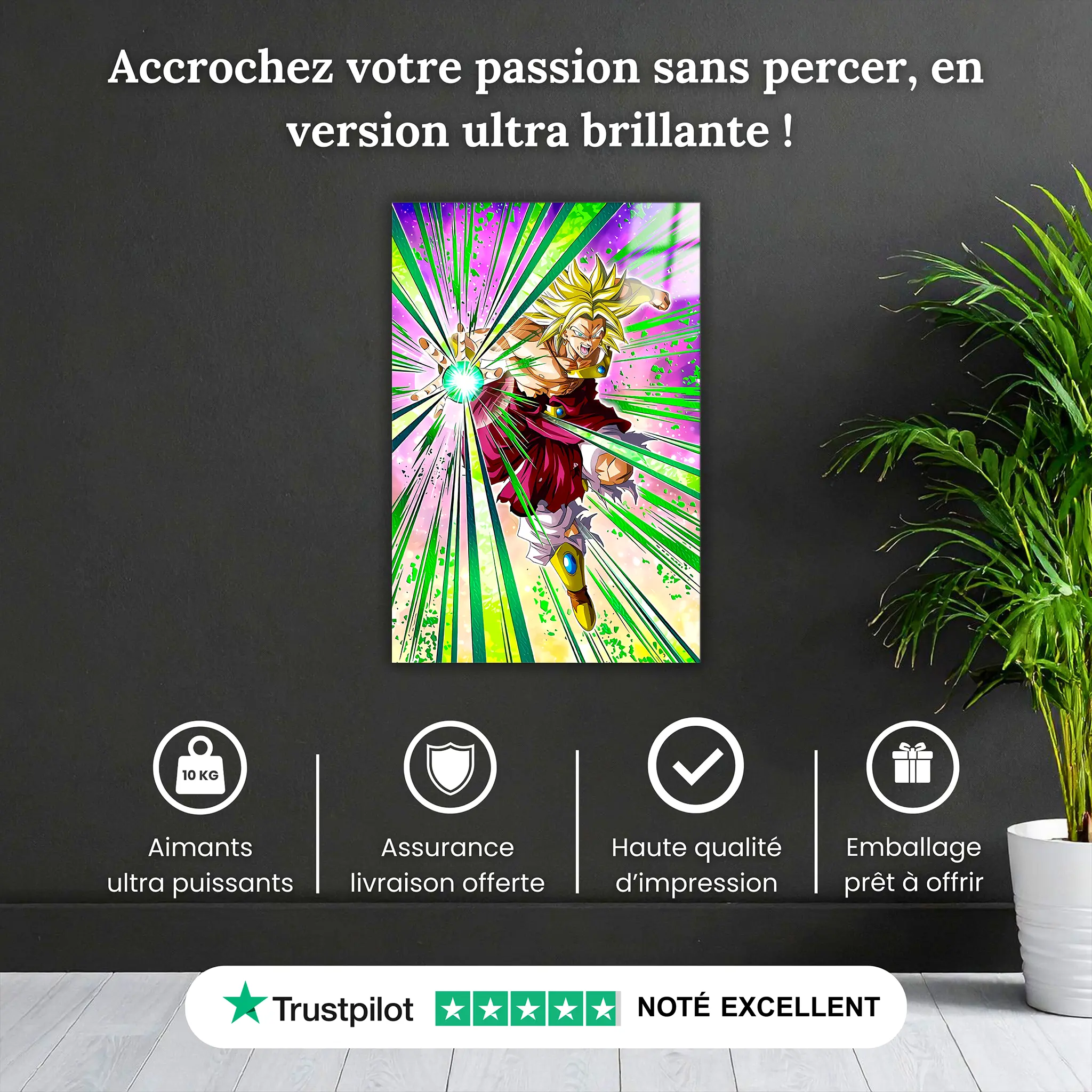 Tableau-Dragon-ball-z-broly-super-attaque-pourquoi-acheter | DreamWay