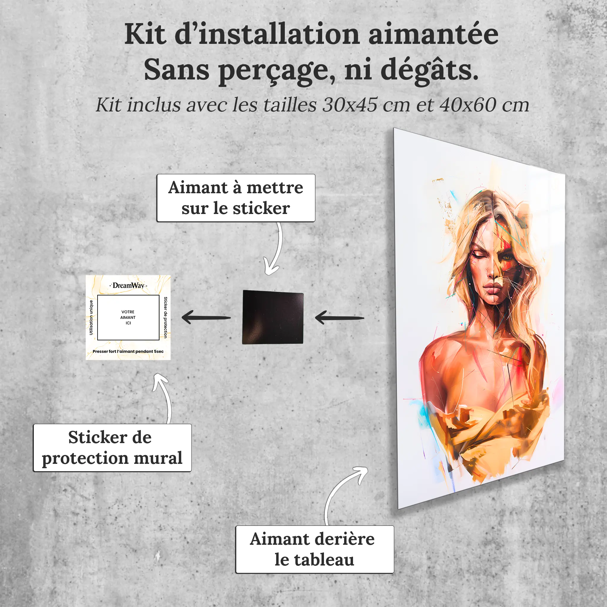 Tableau-Femme-Lion-avec-installation-aimantee | DreamWay