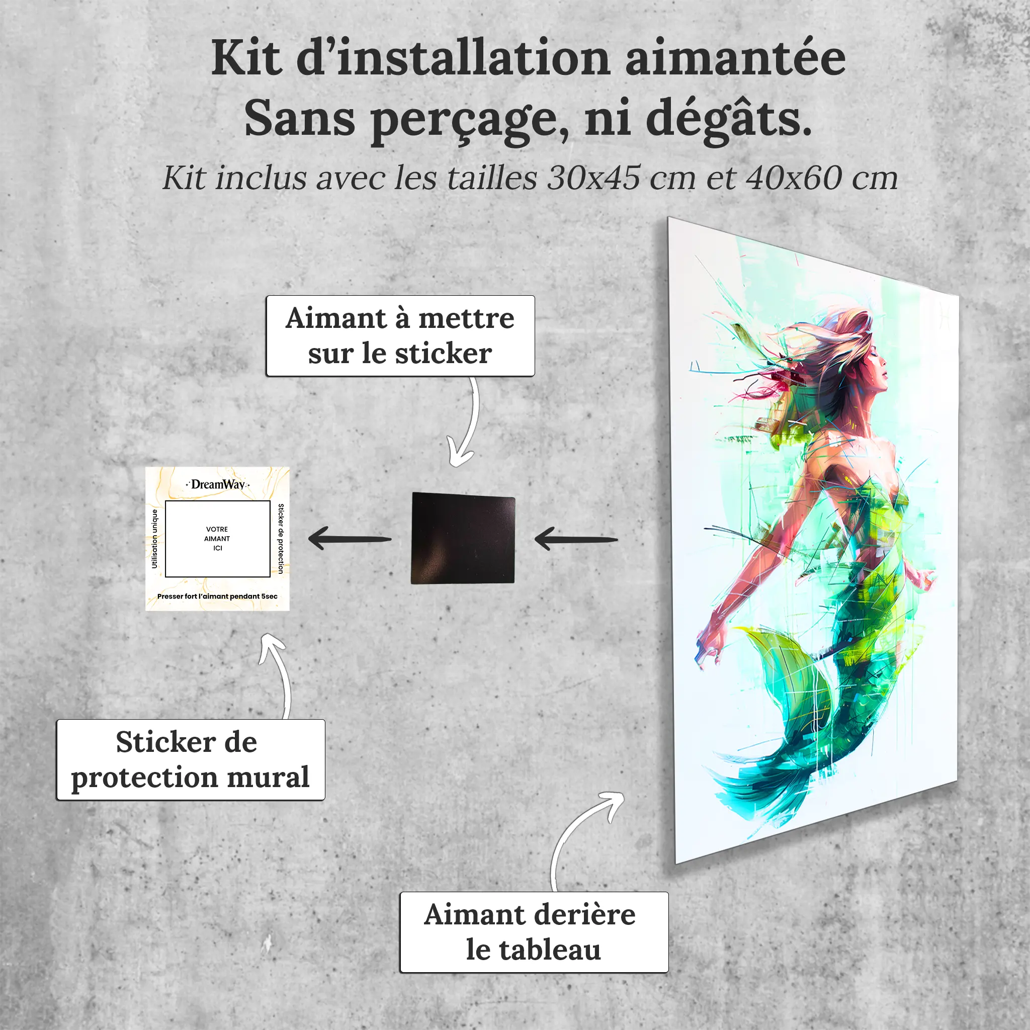Tableau-Femme-Poisson-avec-installation-aimantee | DreamWay