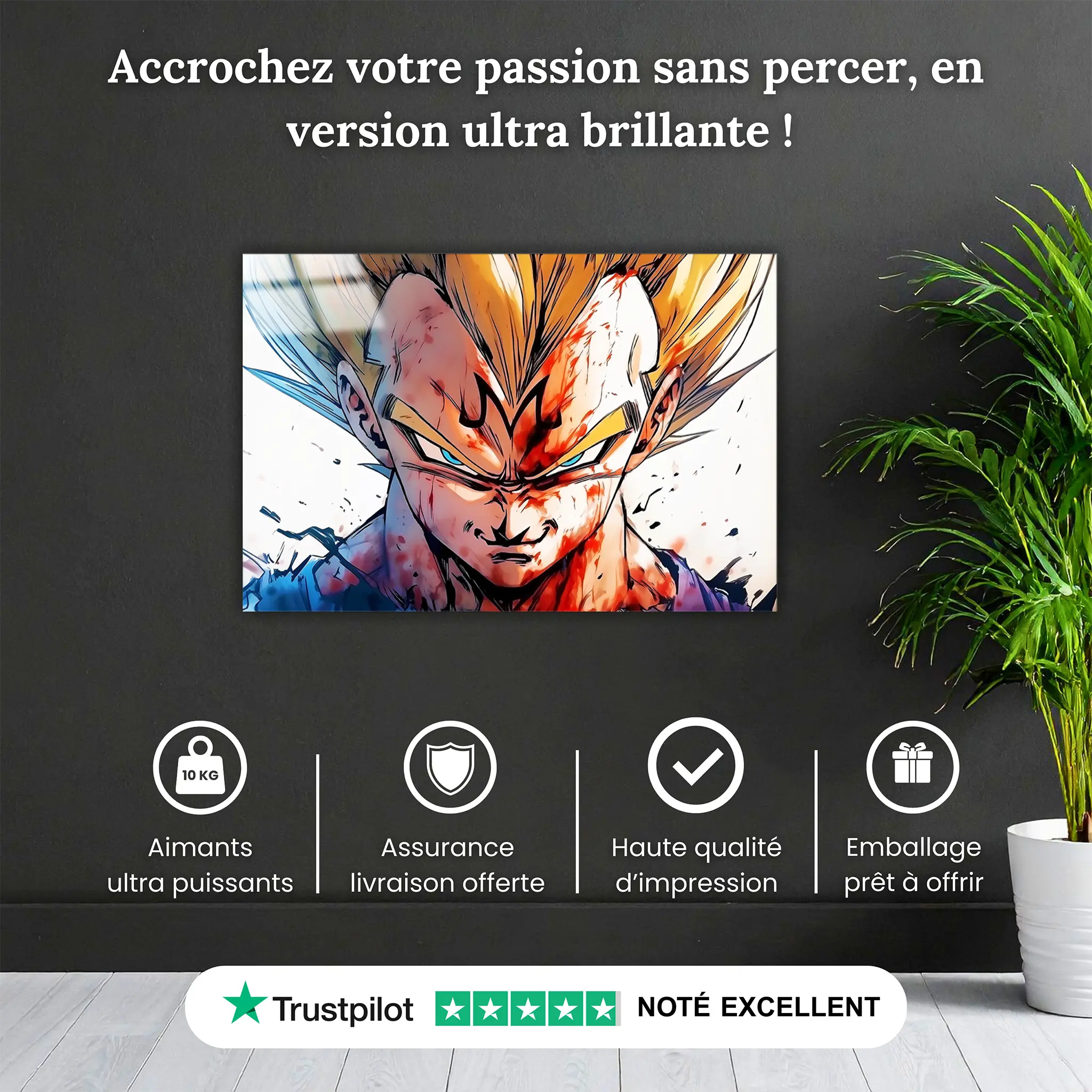 Tableau-Majin-Vegeta-pourquoi-acheter | DreamWay