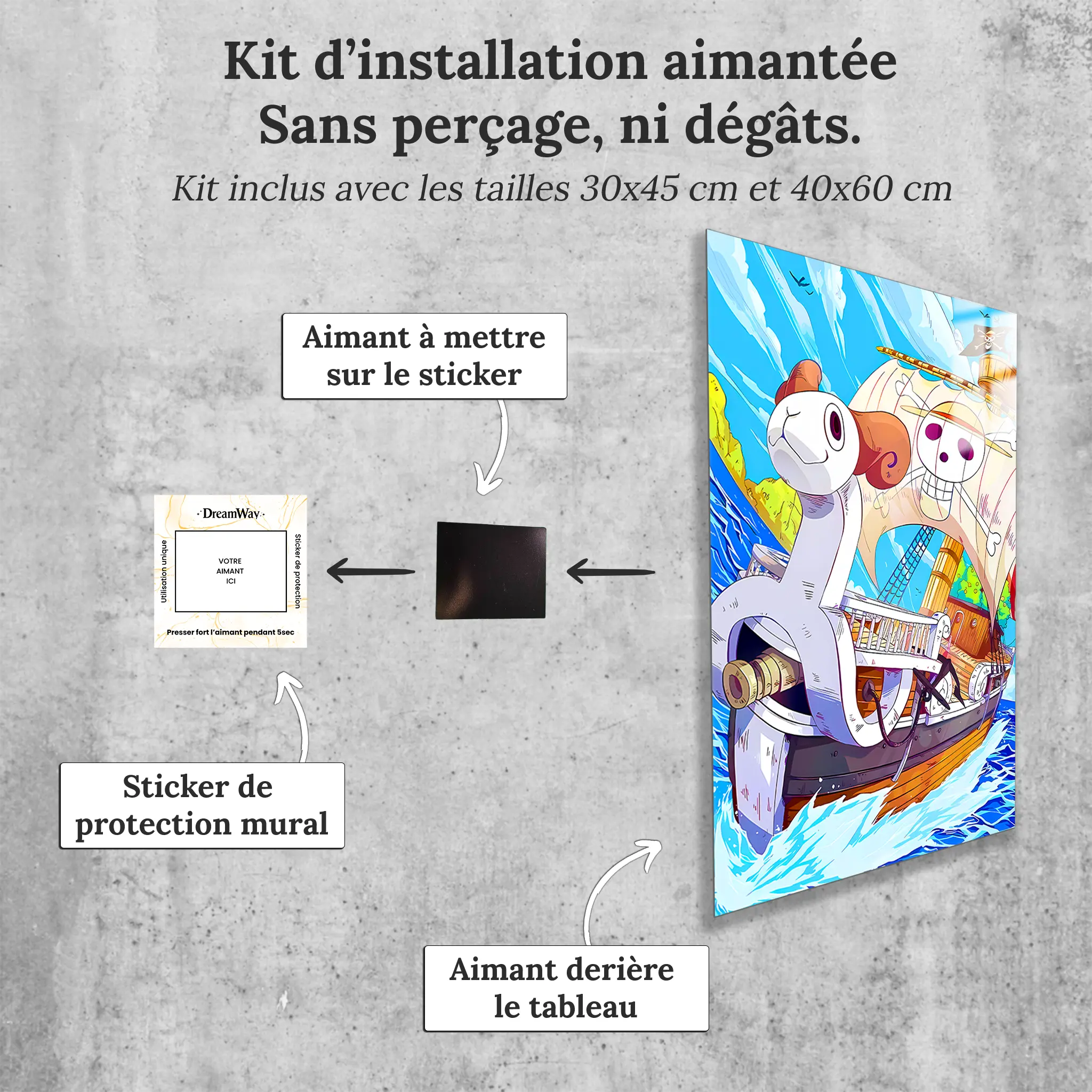 Tableau-One-Piece-Vogue-Merry-avec-installation-aimantee | DreamWay