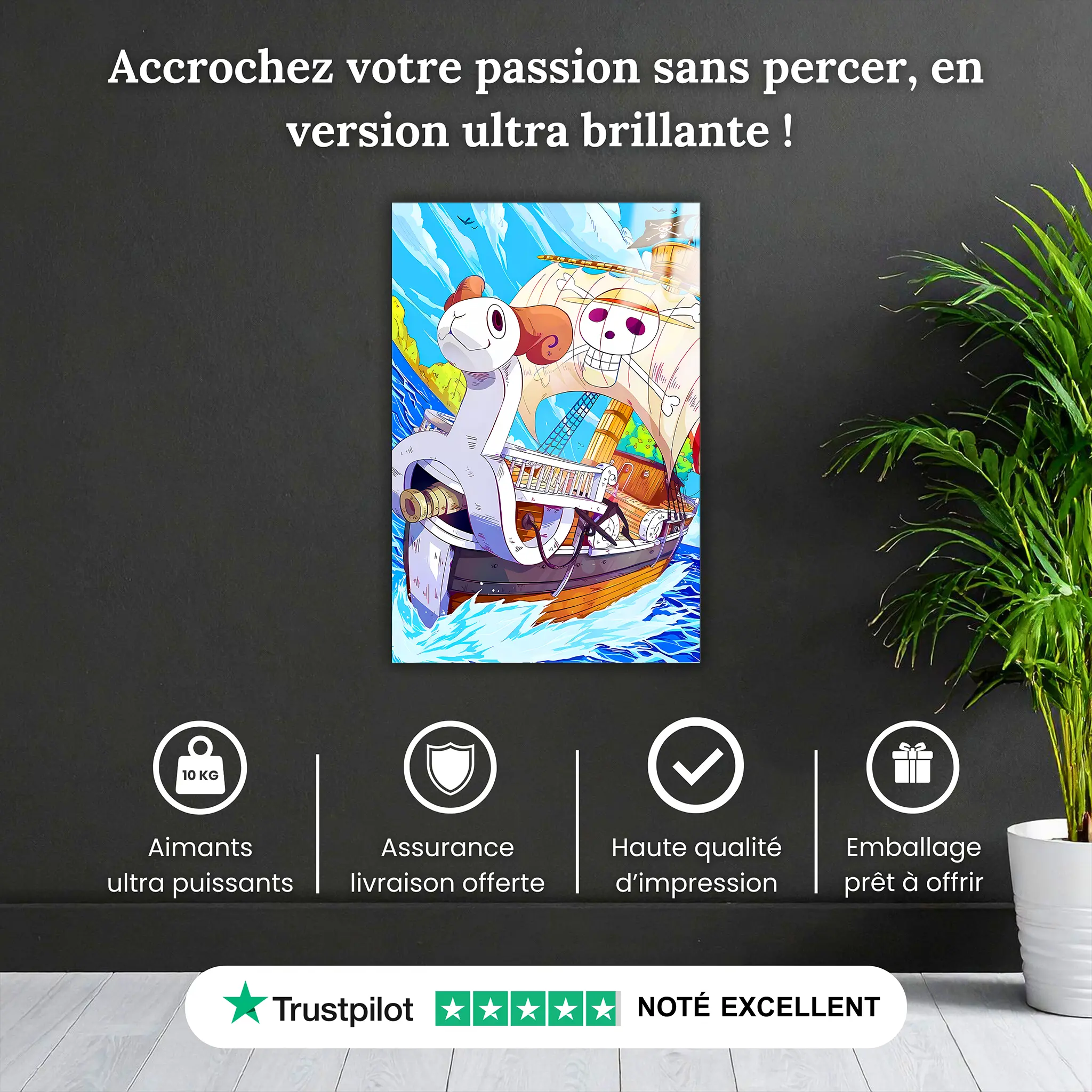Tableau-One-Piece-Vogue-Merry-pourquoi-acheter | DreamWay