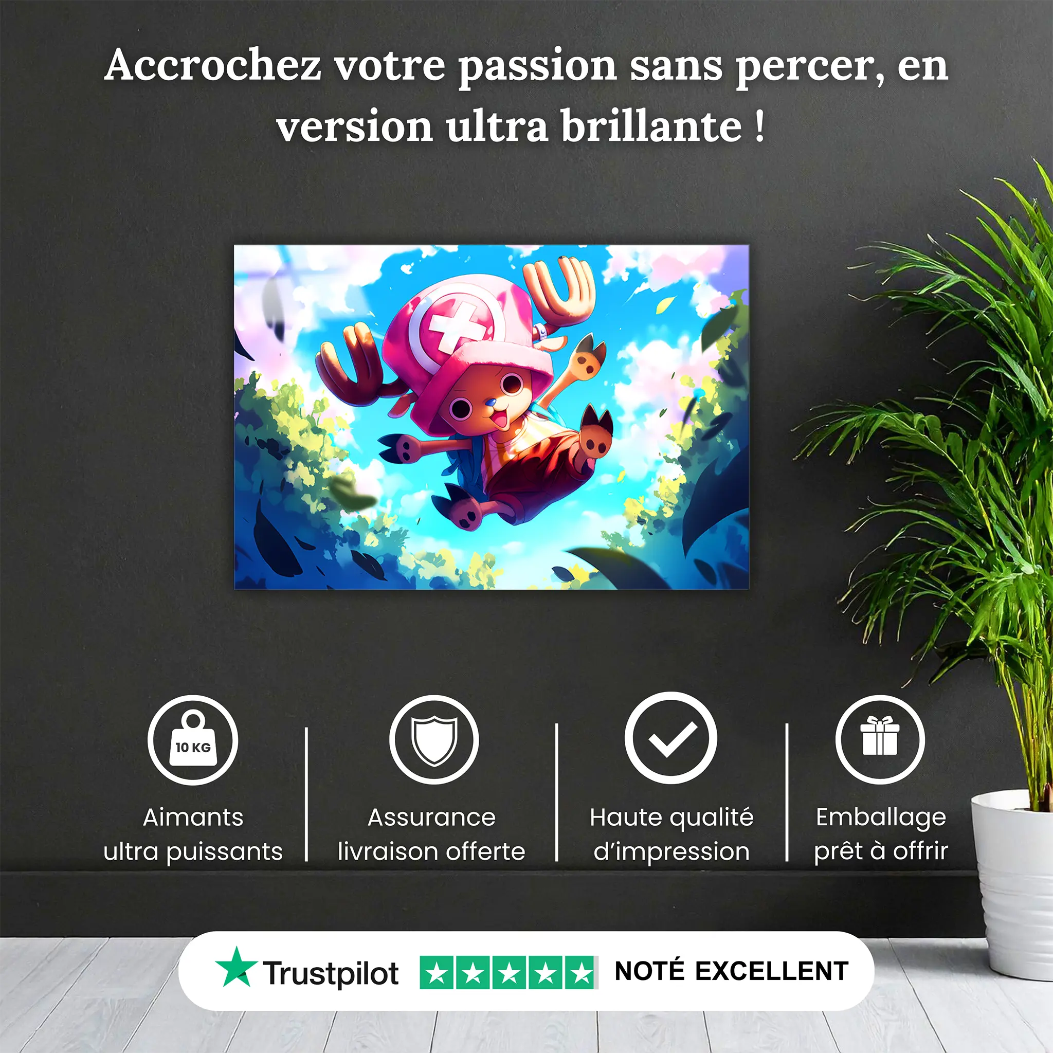Tableau-One-piece-Chopper-pourquoi-acheter | DreamWay