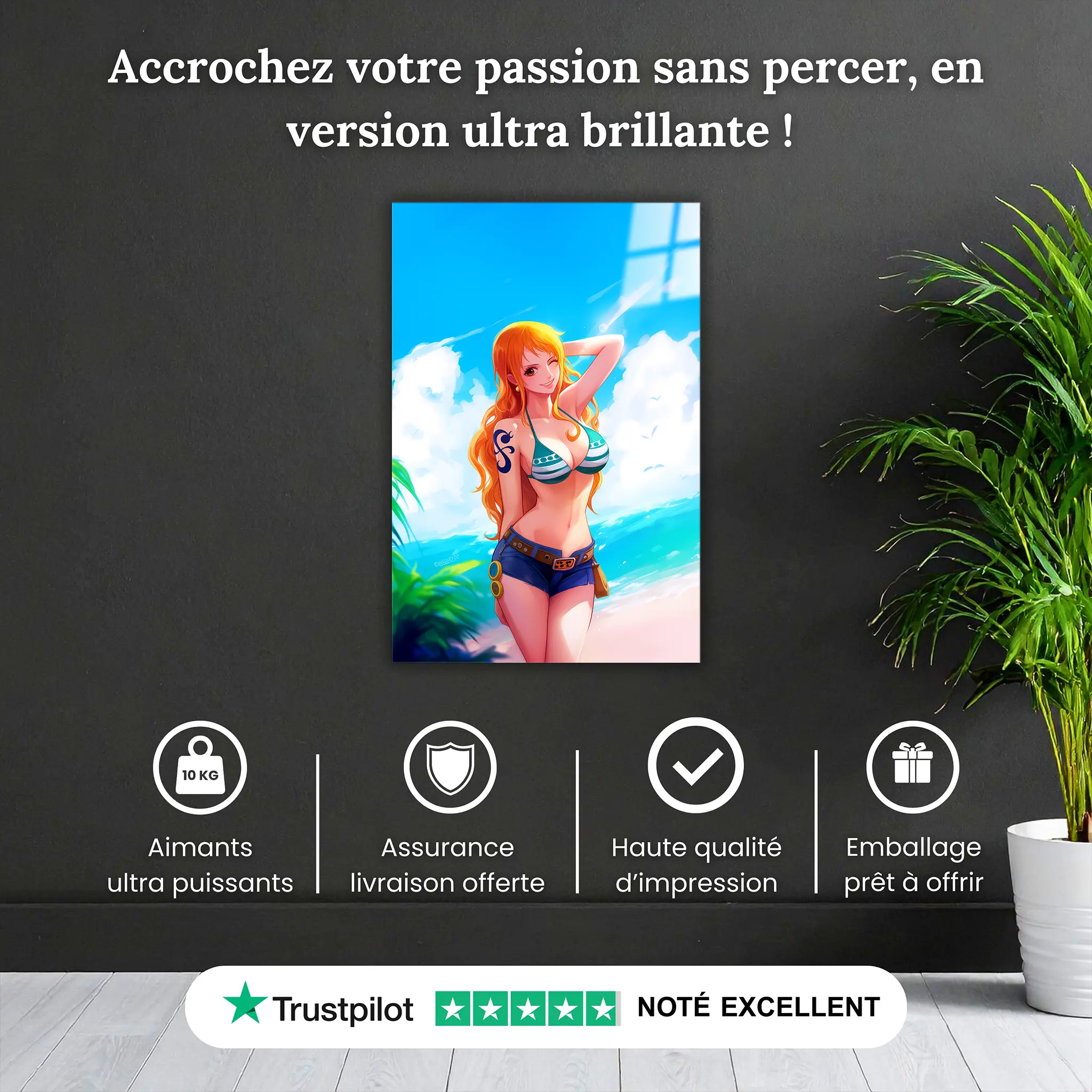 Tableau-One-piece-Nami-a-la-plage-pourquoi-acheter | DreamWay