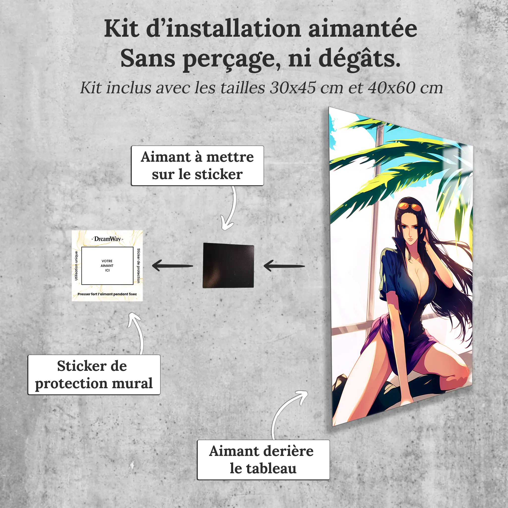 Tableau-One-piece-Nico-Robin-avec-installation-aimantee | DreamWay