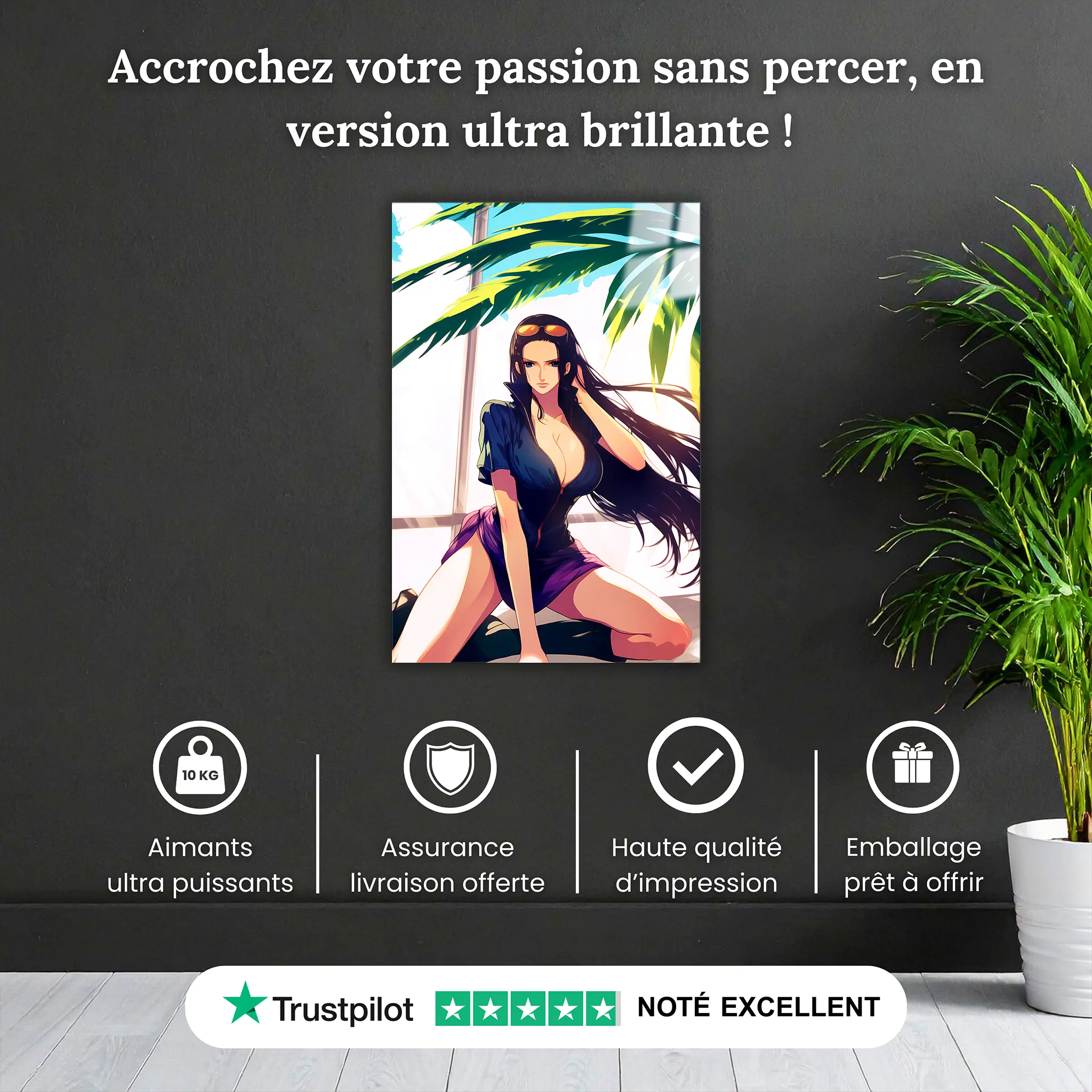 Tableau-One-piece-Nico-Robin-pourquoi-acheter | DreamWay
