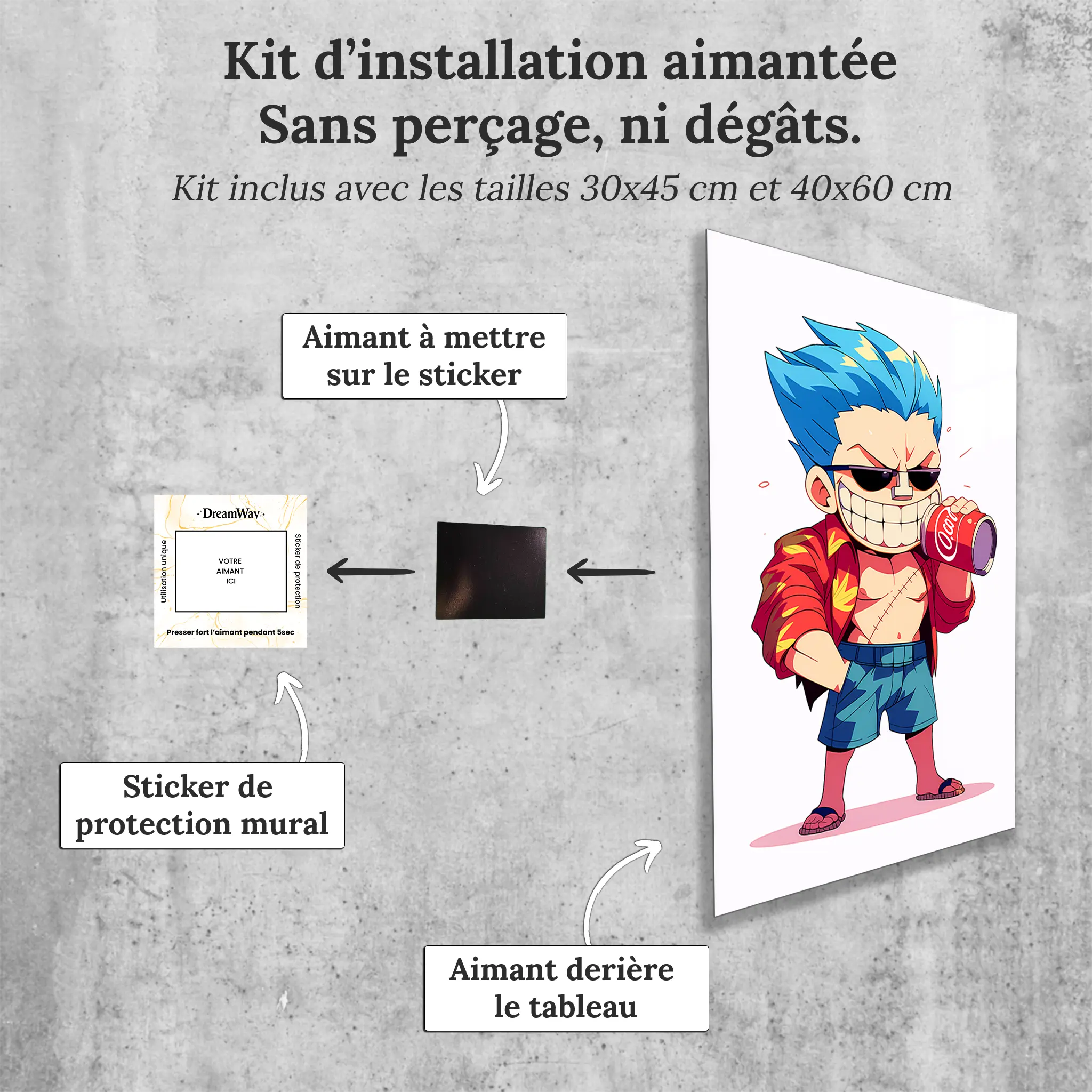 Tableau-One-piece-chibi-Franky-avec-installation-aimantee | DreamWay