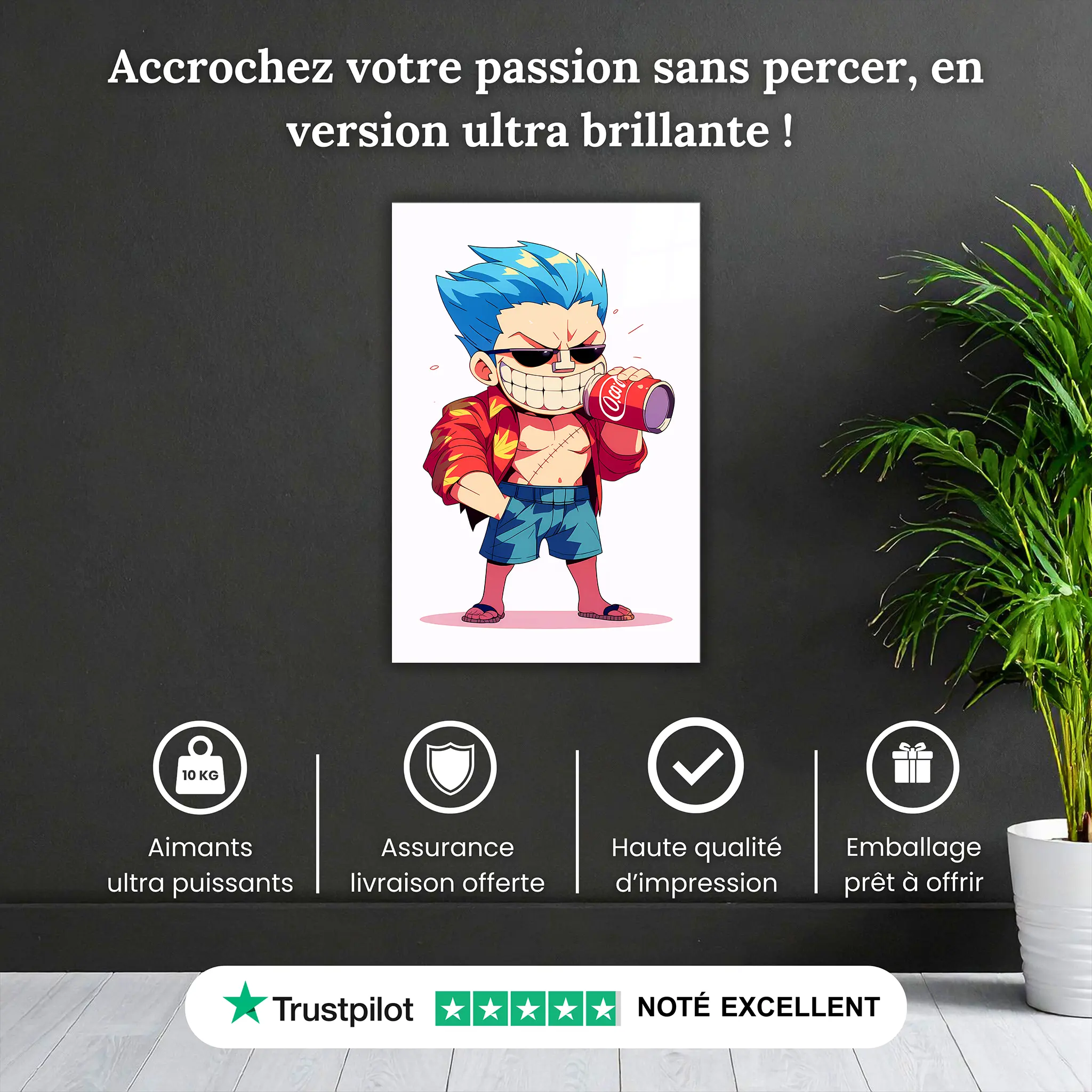 Tableau-One-piece-chibi-Franky-pourquoi-acheter | DreamWay
