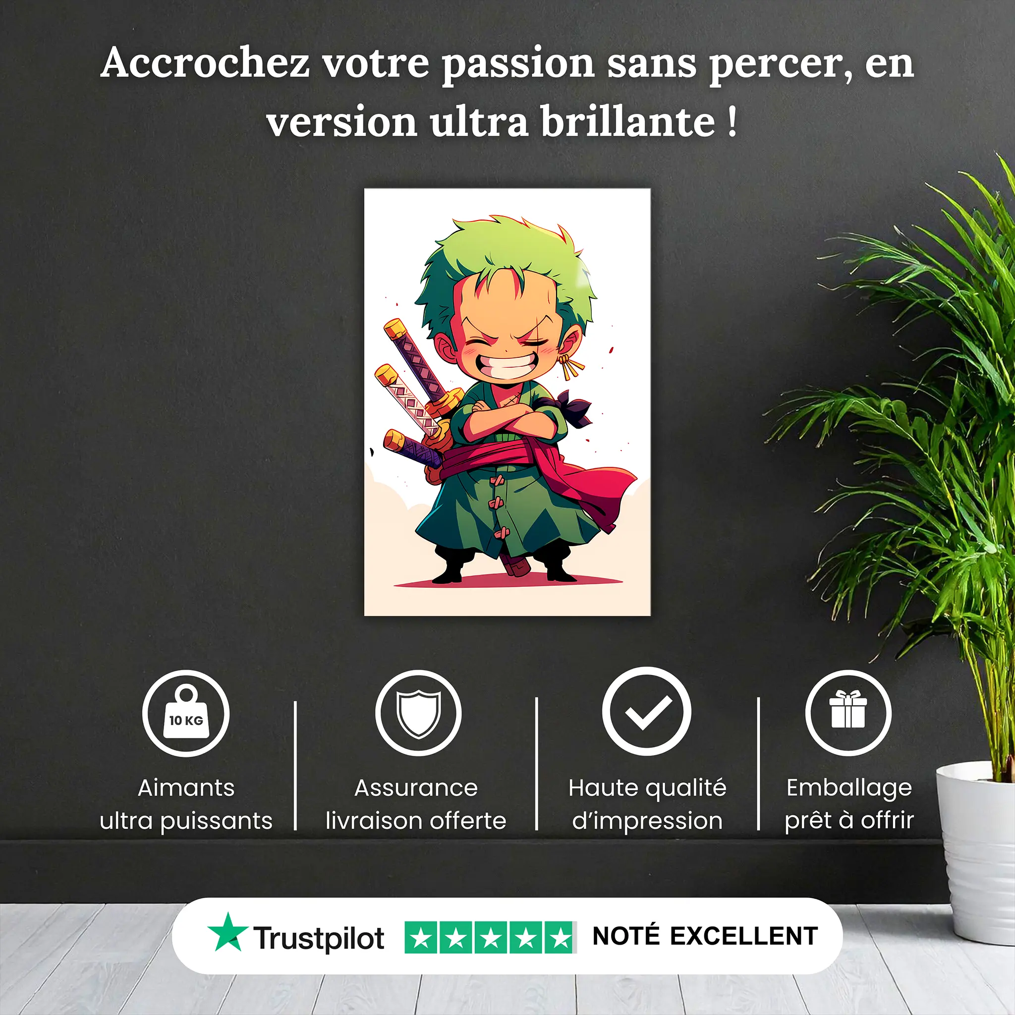 Tableau-One-piece-chibi-Zoro-pourquoi-acheter | DreamWay