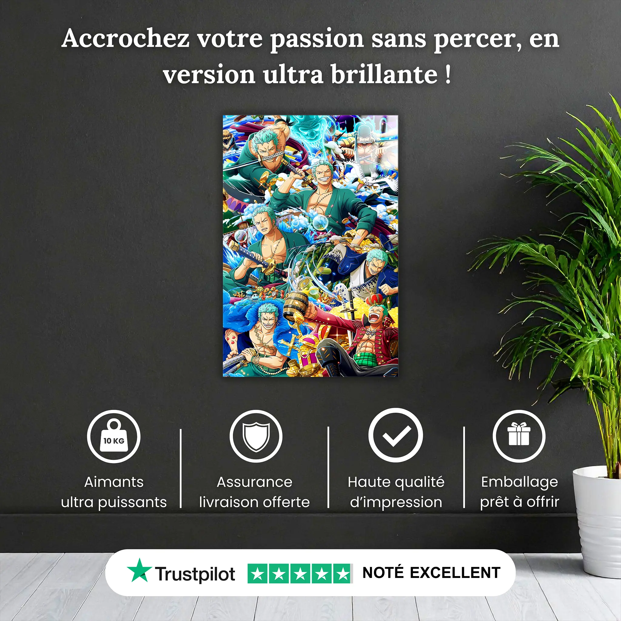 Tableau-Zoro-le-heros-pourquoi-acheter | DreamWay
