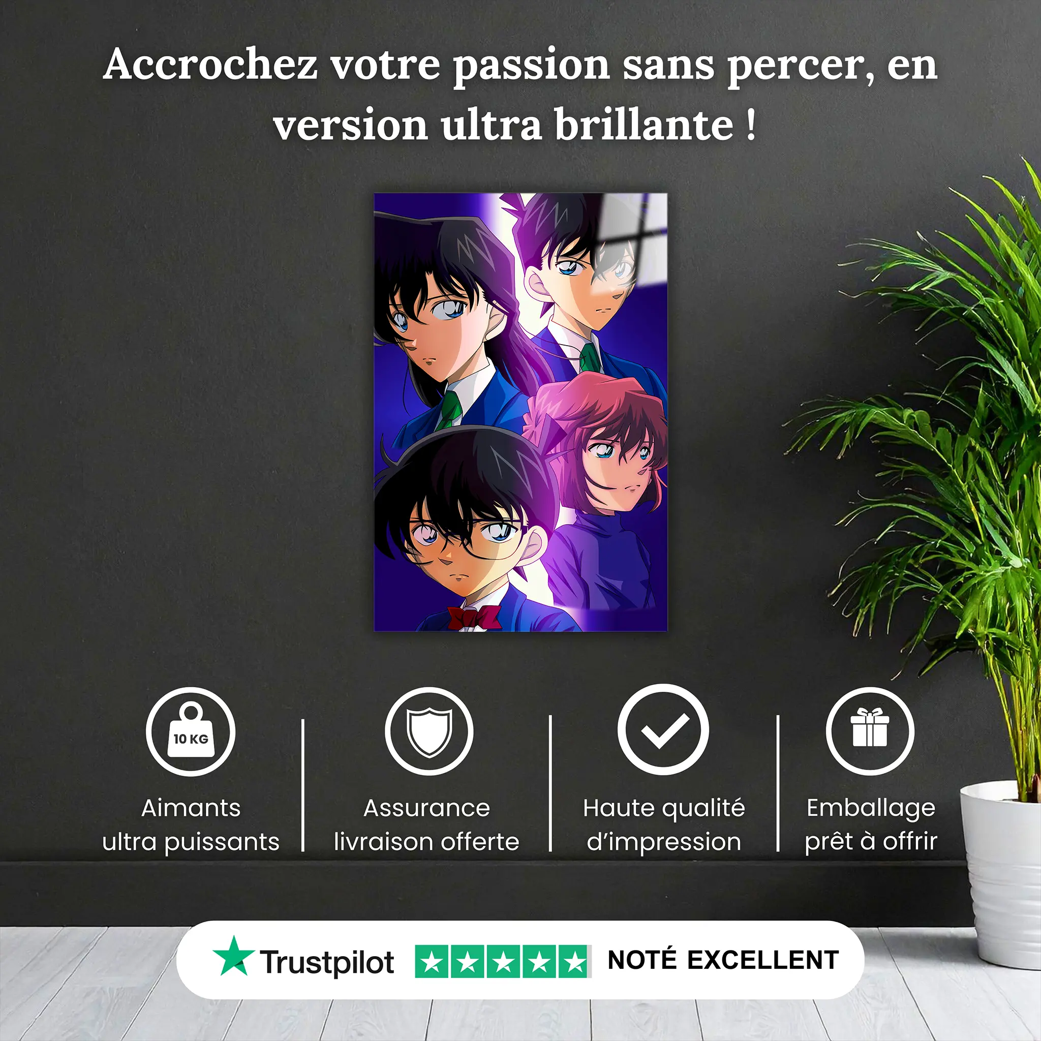 Tableau-detective-Conan-pourquoi-acheter | DreamWay