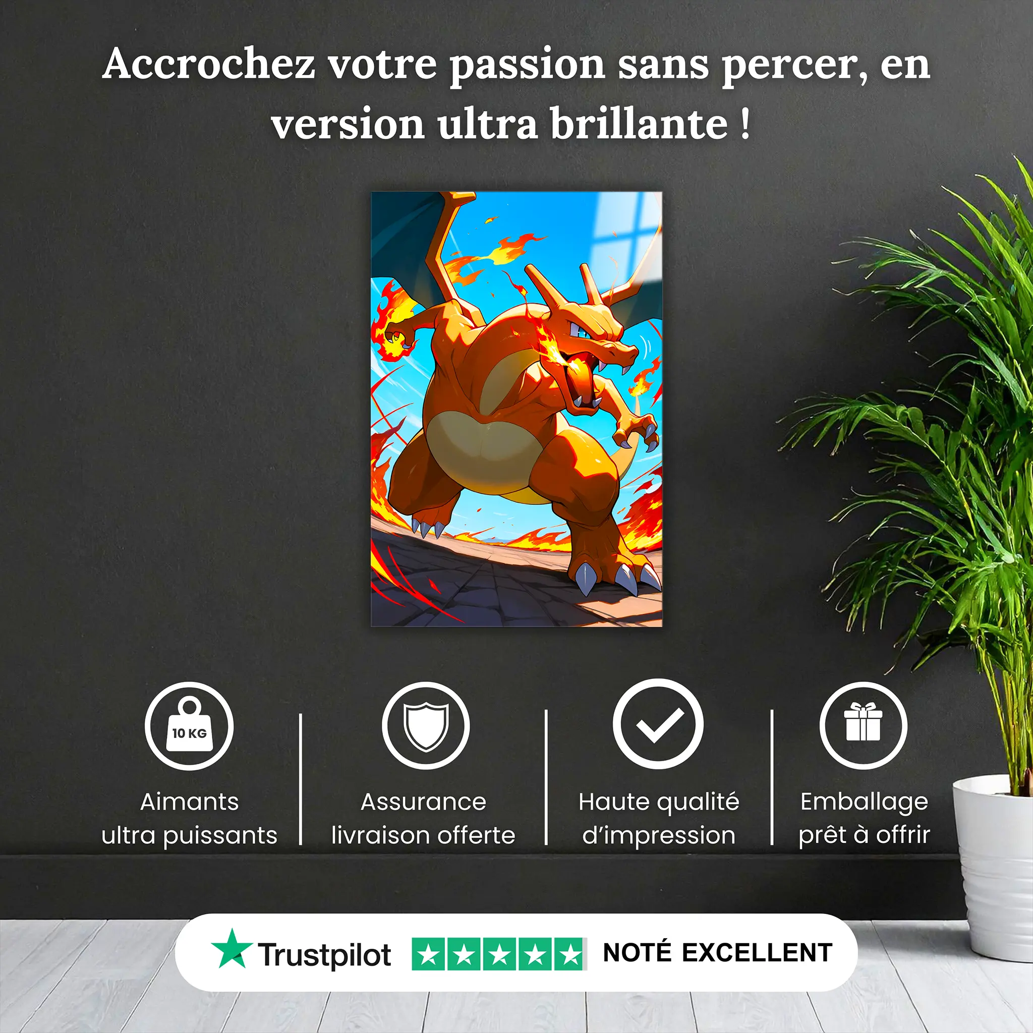 Tableau-dracofeu-attaque-pourquoi-acheter | DreamWay