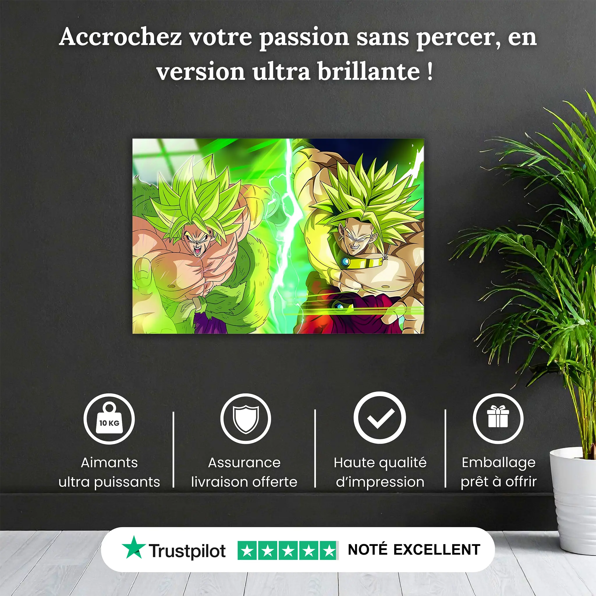 Tableau-dragon-ball-broly-pourquoi-acheter | DreamWay