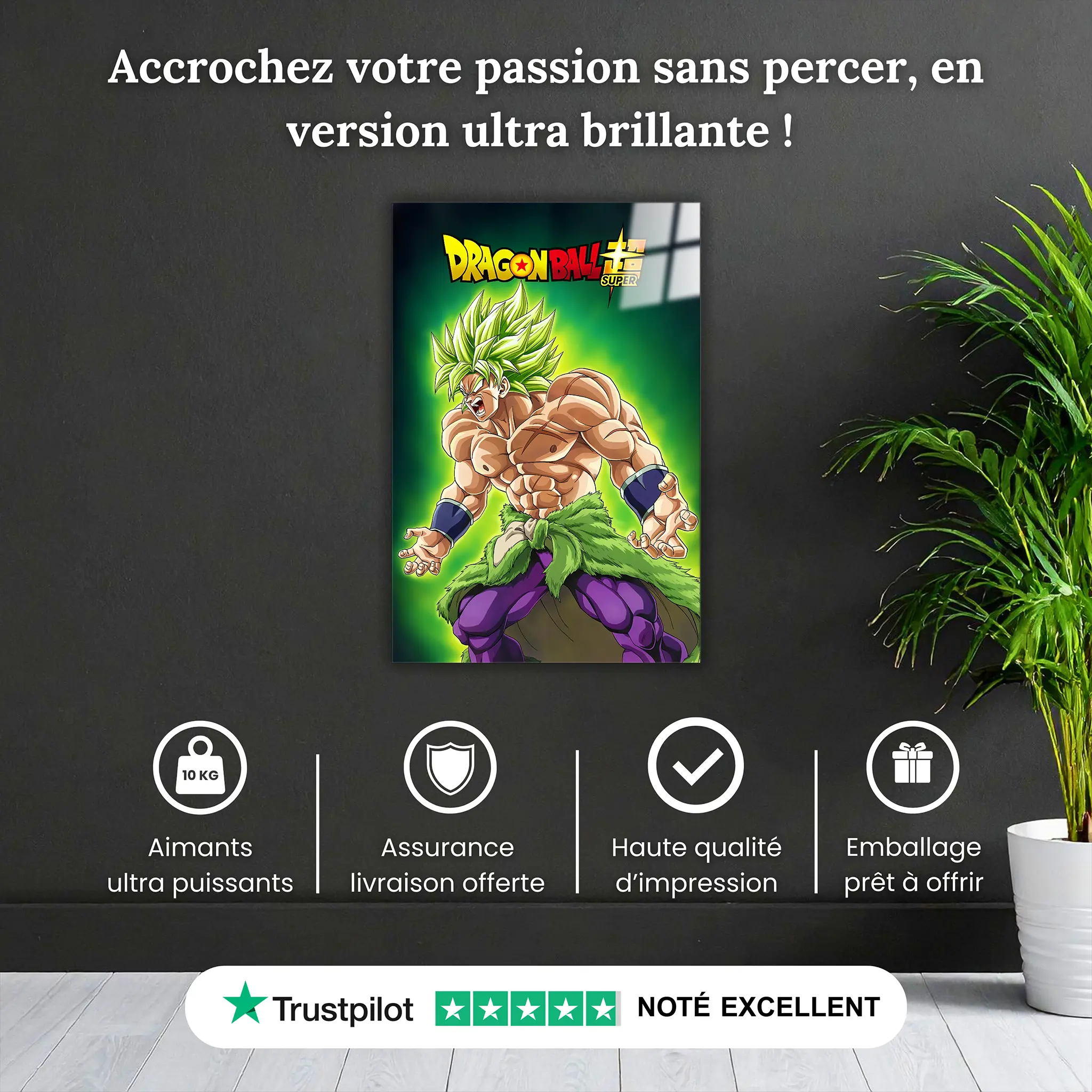 Tableau-dragon-ball-super-broly-pourquoi-acheter | DreamWay