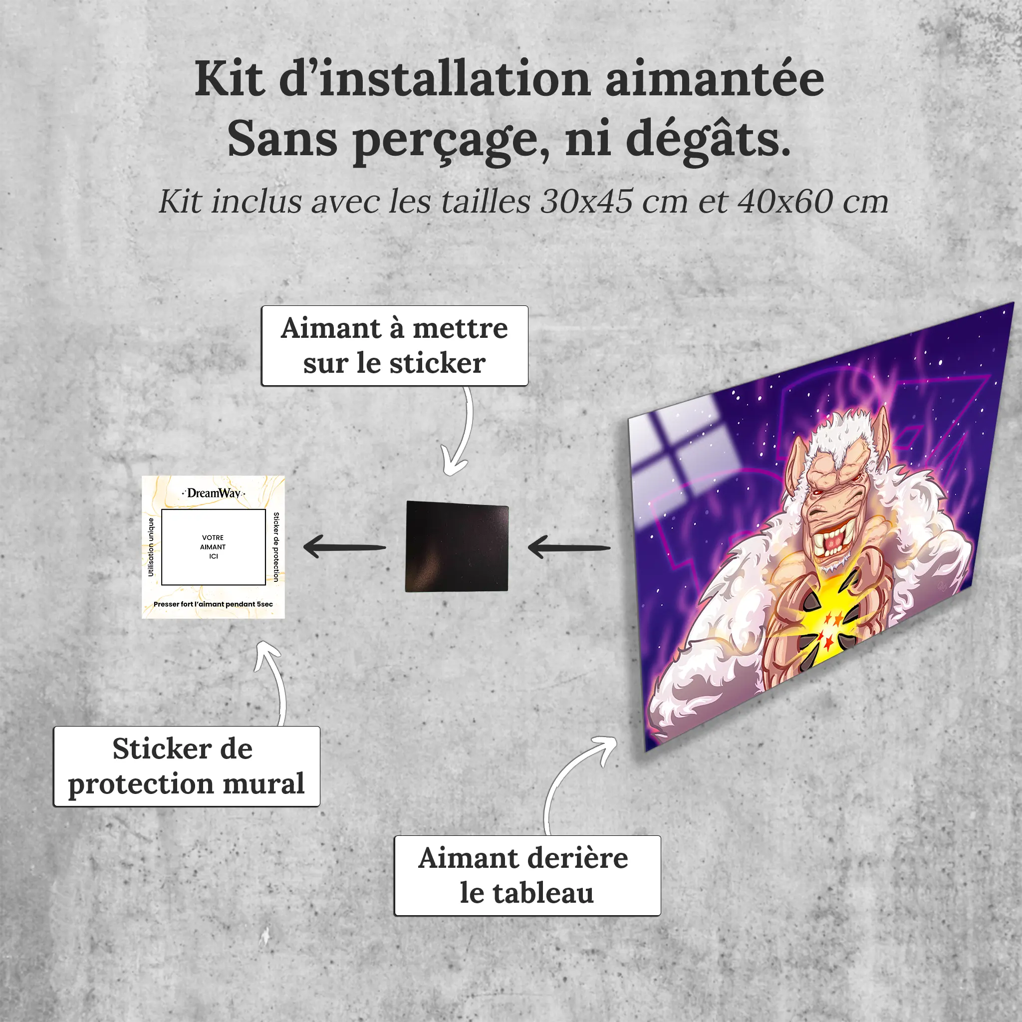 Tableau-dragon-ball-z-gorille-avec-installation-aimantee | DreamWay
