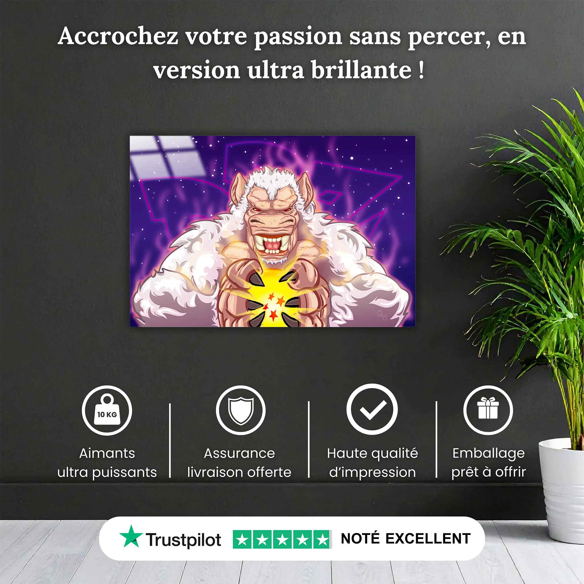 Tableau-dragon-ball-z-gorille-pourquoi-acheter | DreamWay