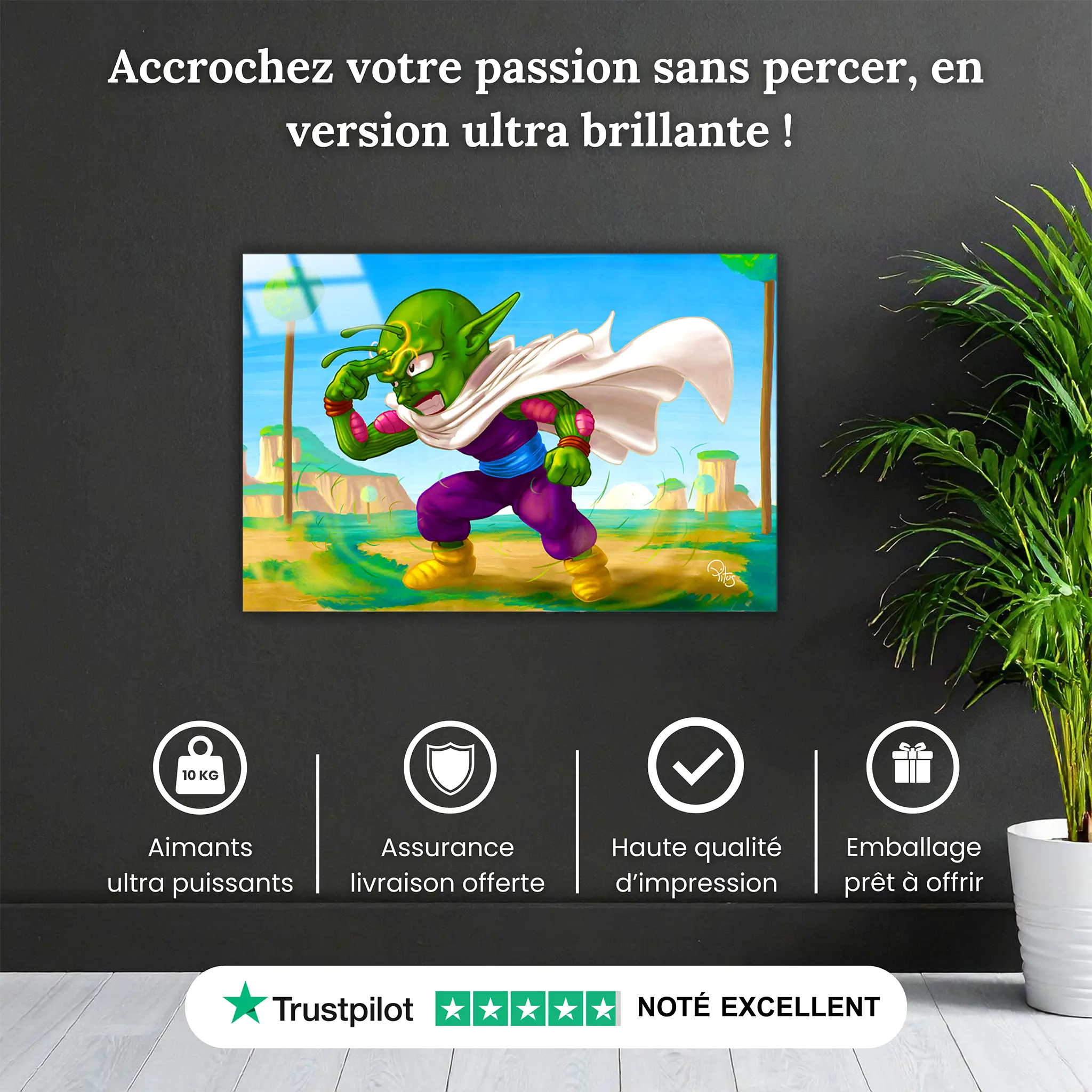Tableau-dragon-ball-z-piccolo-cartoon-pourquoi-acheter | DreamWay