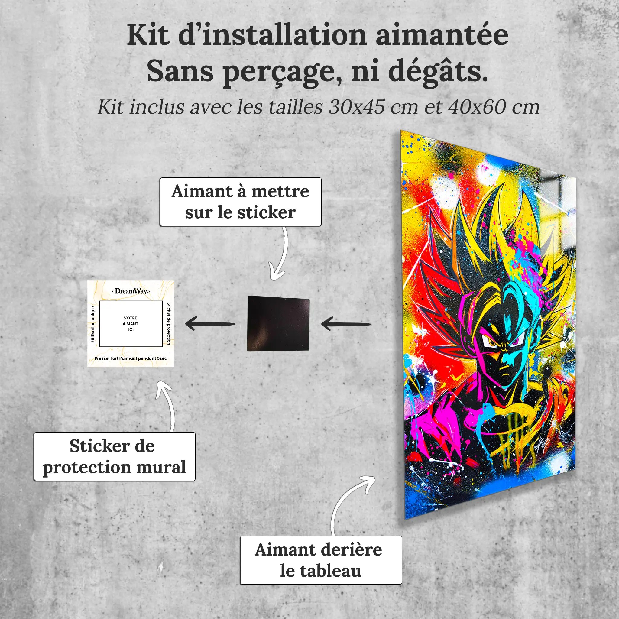 Tableau-dragon-ball-z-pop-art-avec-installation-aimantee | DreamWay