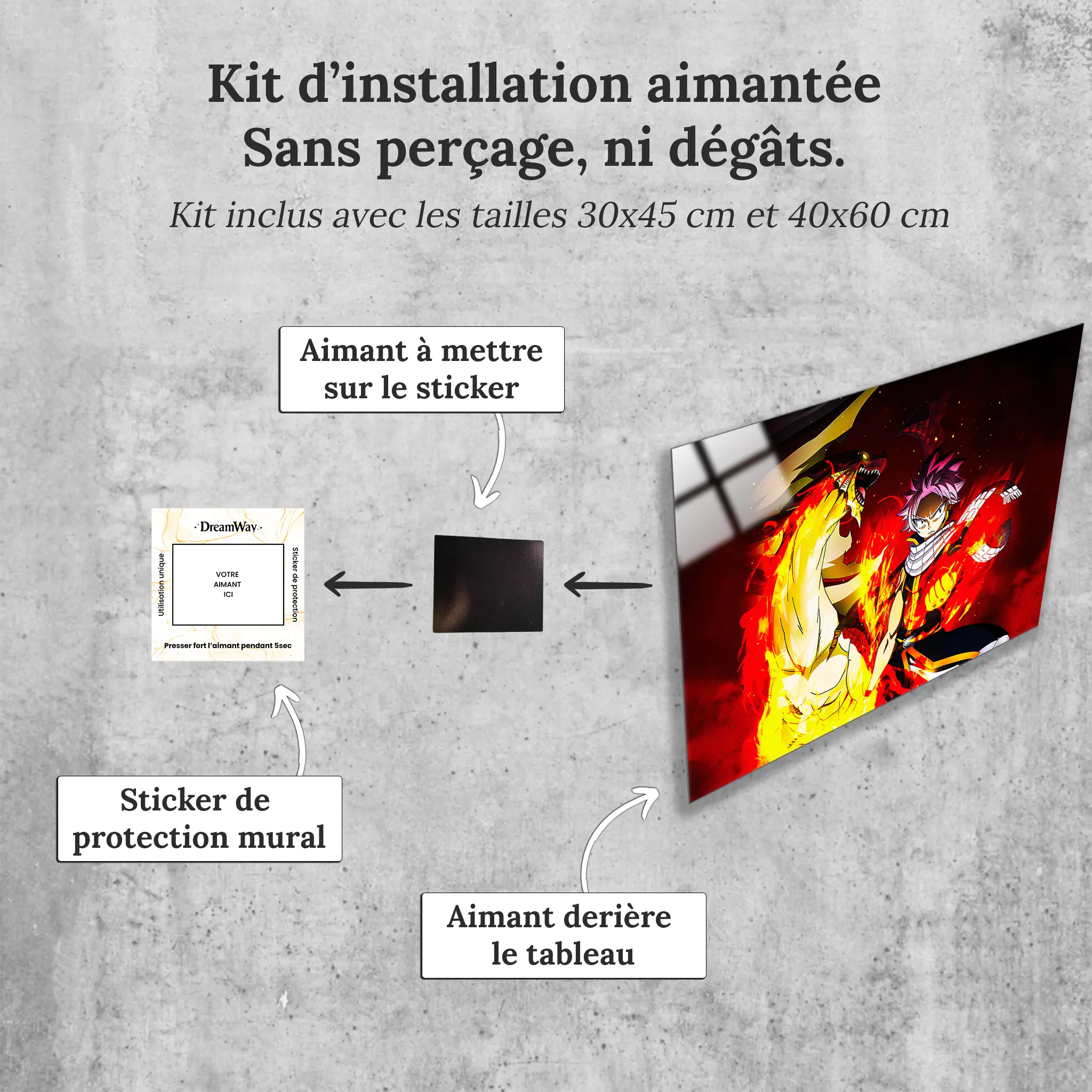 Tableau-fairy-tail-natsu-et-dragnir-avec-installation-aimantee | DreamWay