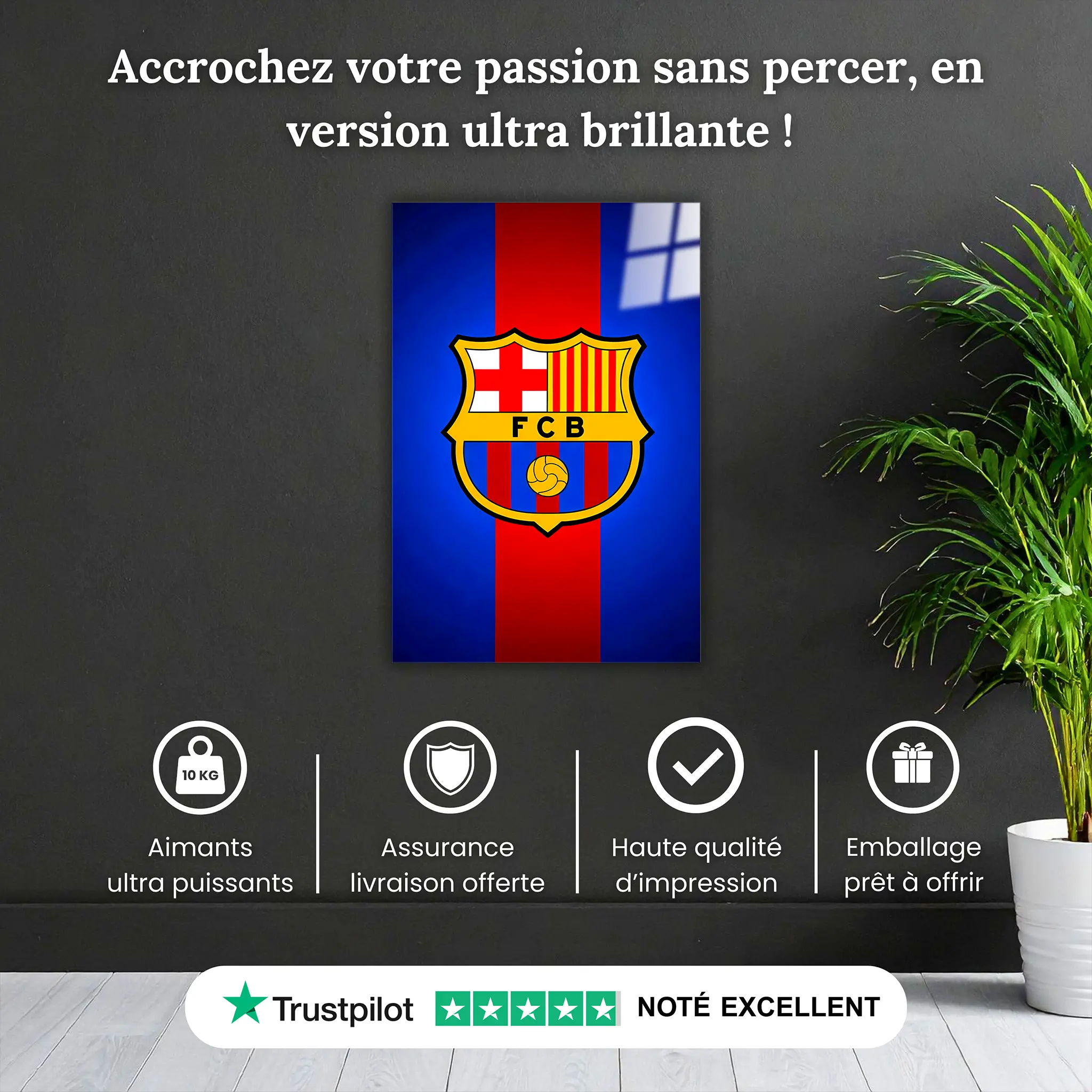 Tableau-fc-barcelone-club-pourquoi-acheter | DreamWay
