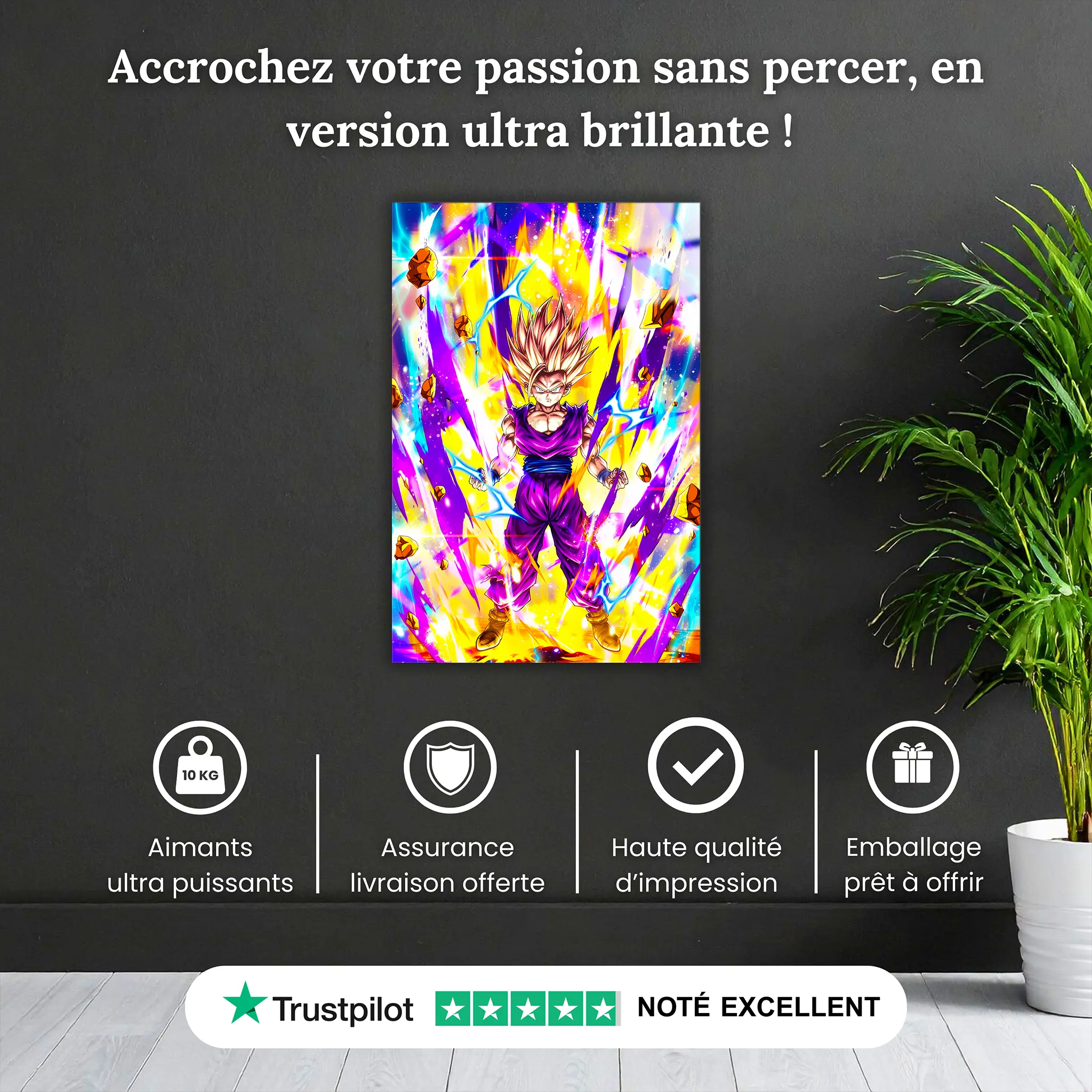 Tableau-gohan-ssj2-pourquoi-acheter | DreamWay