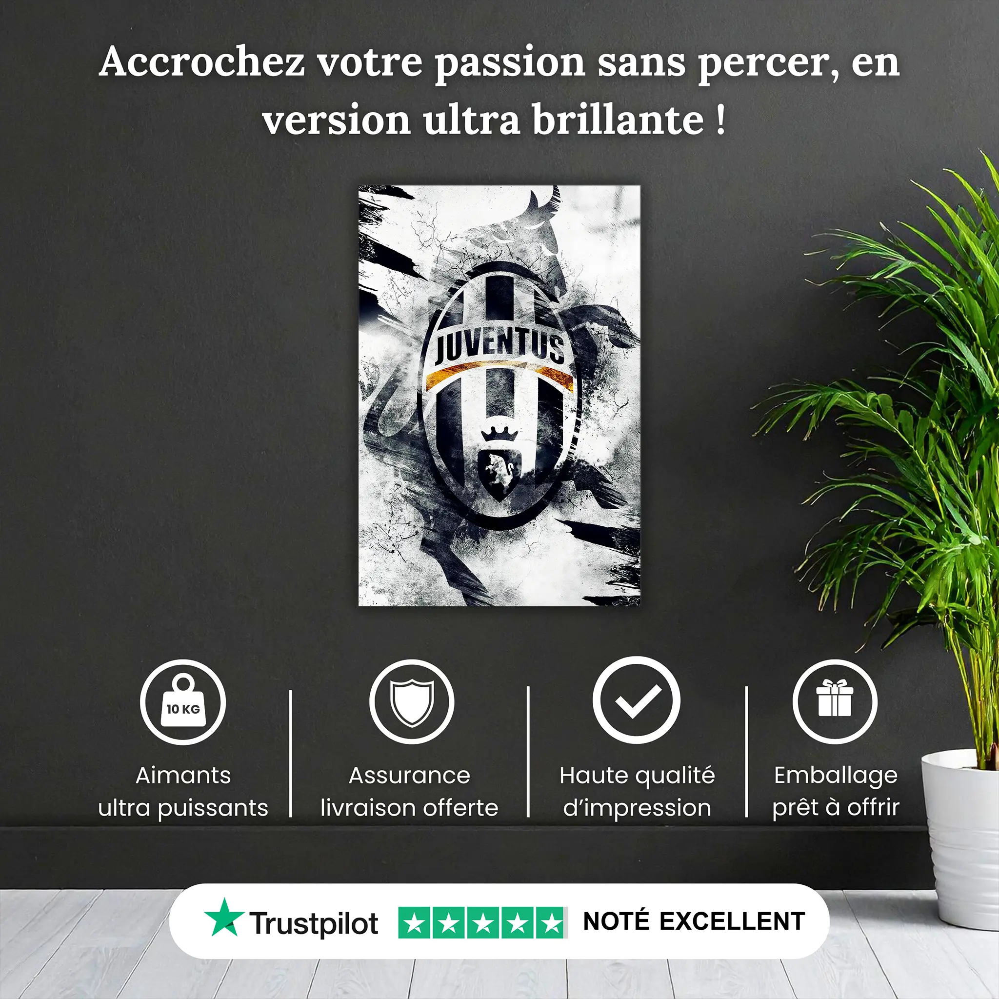 Tableau-juventus-club-pourquoi-acheter | DreamWay