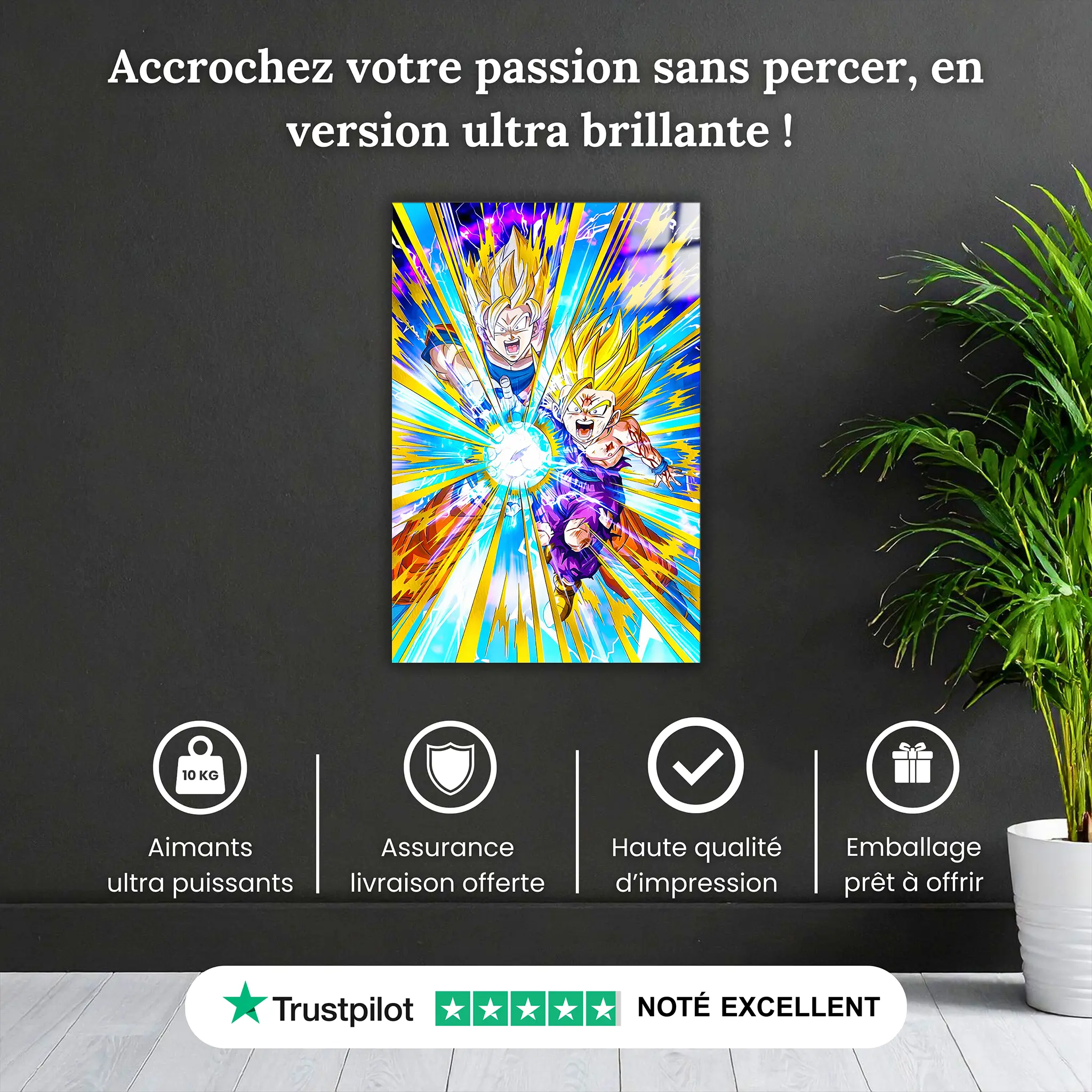 Tableau-kamehameha-pere-et-fils-pourquoi-acheter | DreamWay
