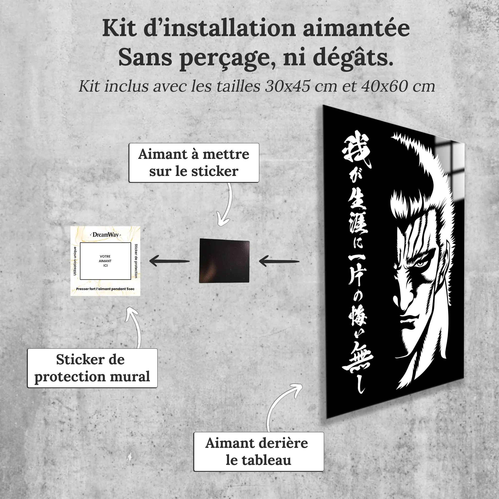 Tableau Ken Le Survivant Raoh