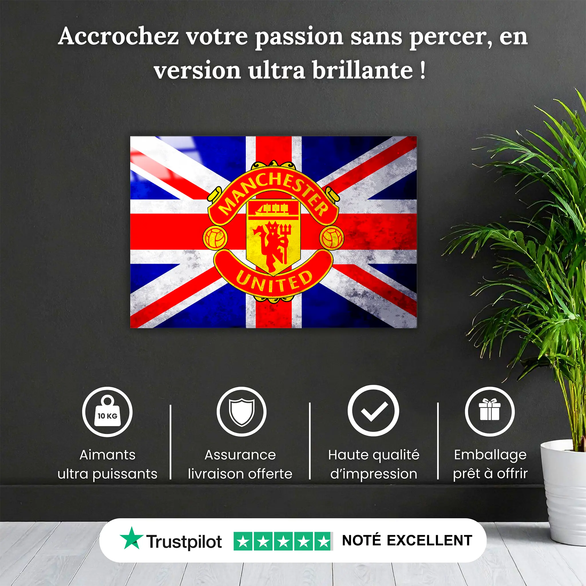 Tableau-manchester-united-angleterre-pourquoi-acheter | DreamWay