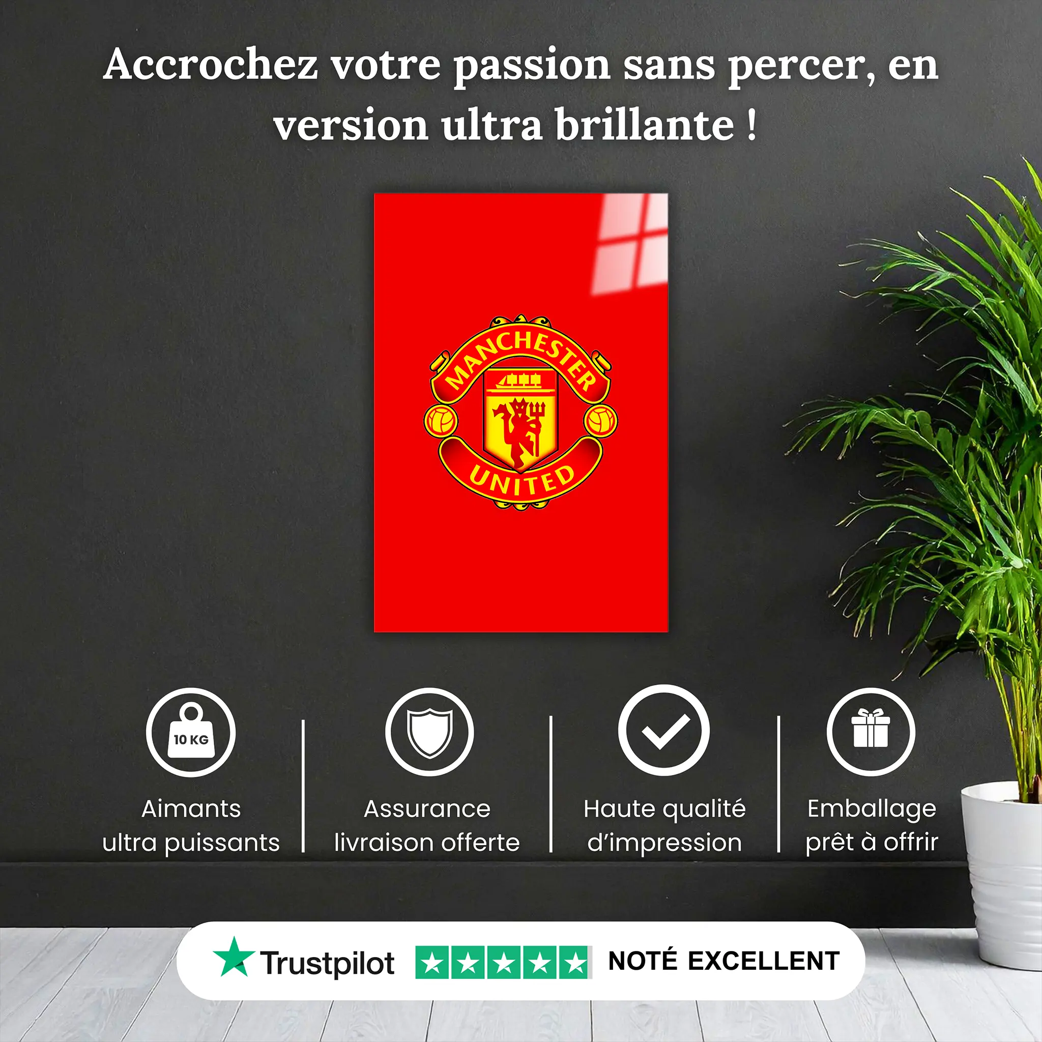 Tableau-manchester-united-club-pourquoi-acheter | DreamWay