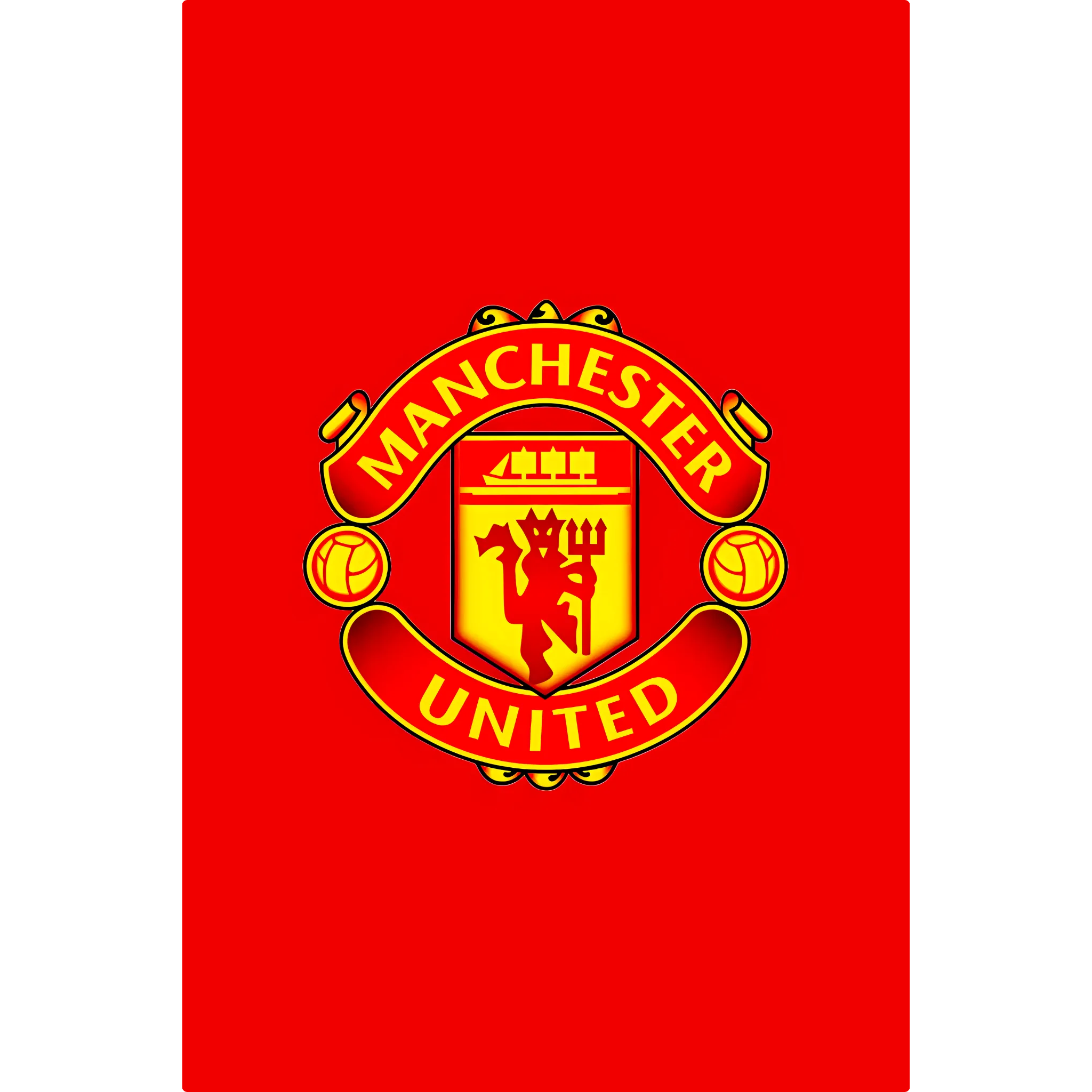 Tableau Manchester United Club
