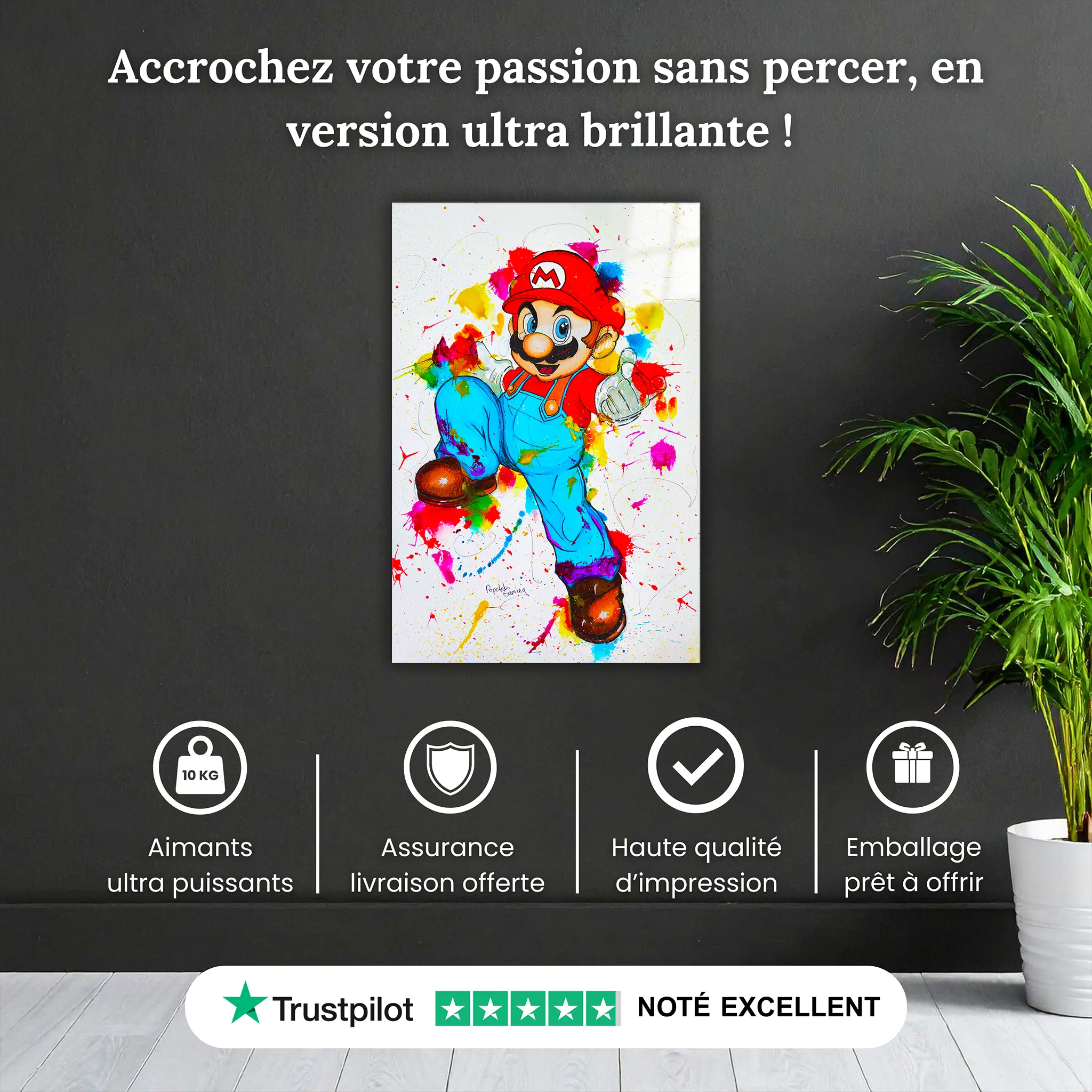 Tableau-mario-pop-art-pourquoi-acheter | DreamWay