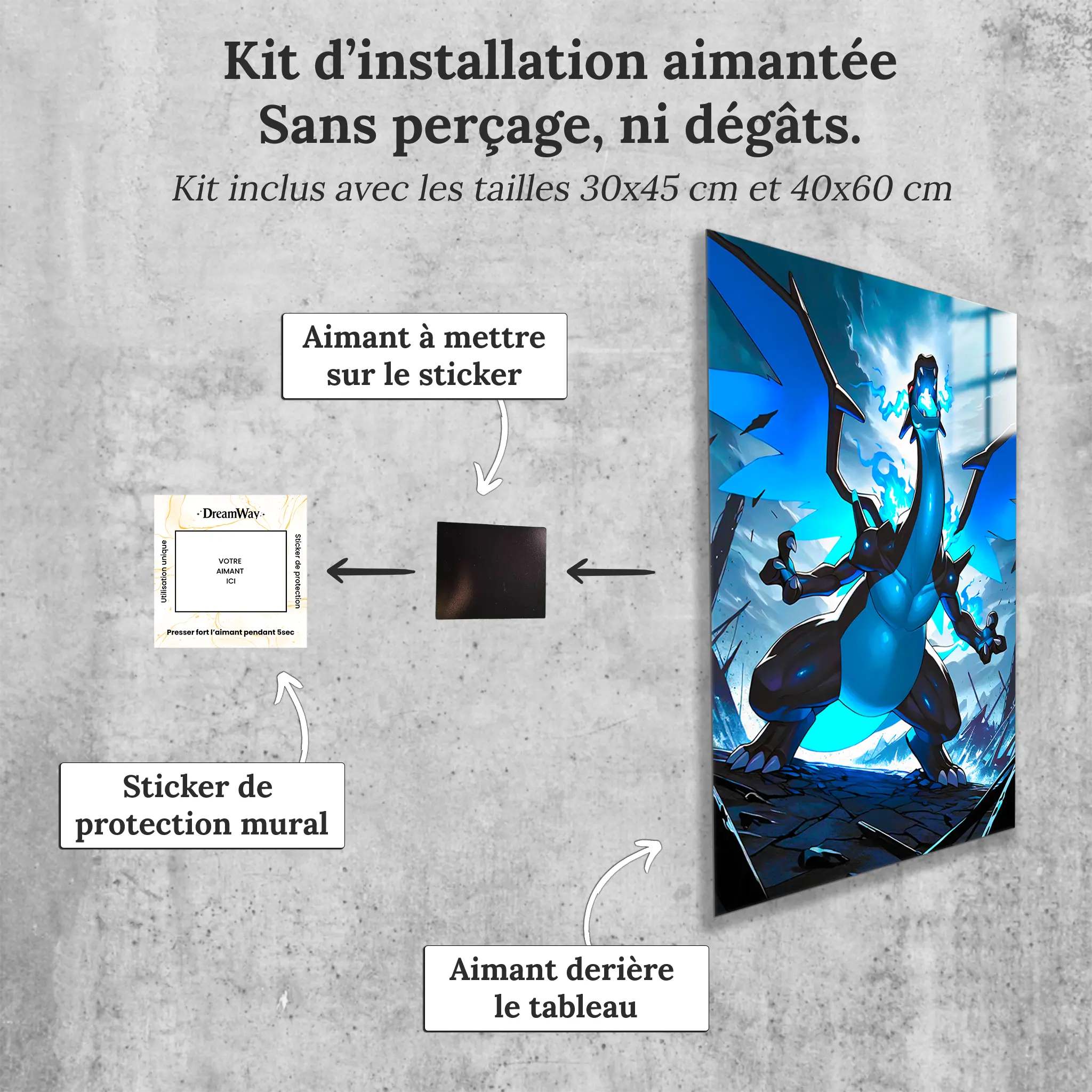 Tableau-mega-dracofeu-x-avec-installation-aimantee | DreamWay