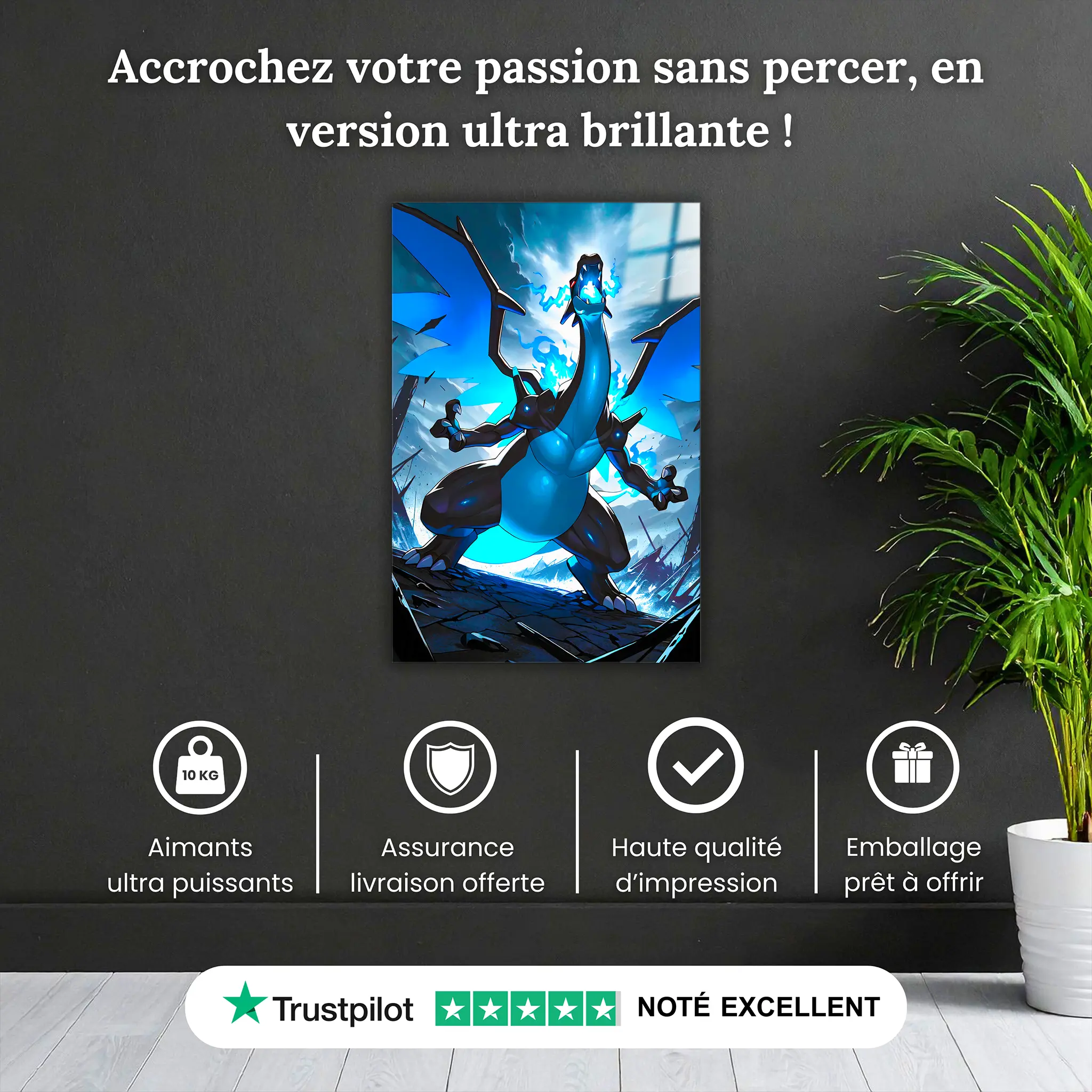 Tableau-mega-dracofeu-x-pourquoi-acheter | DreamWay