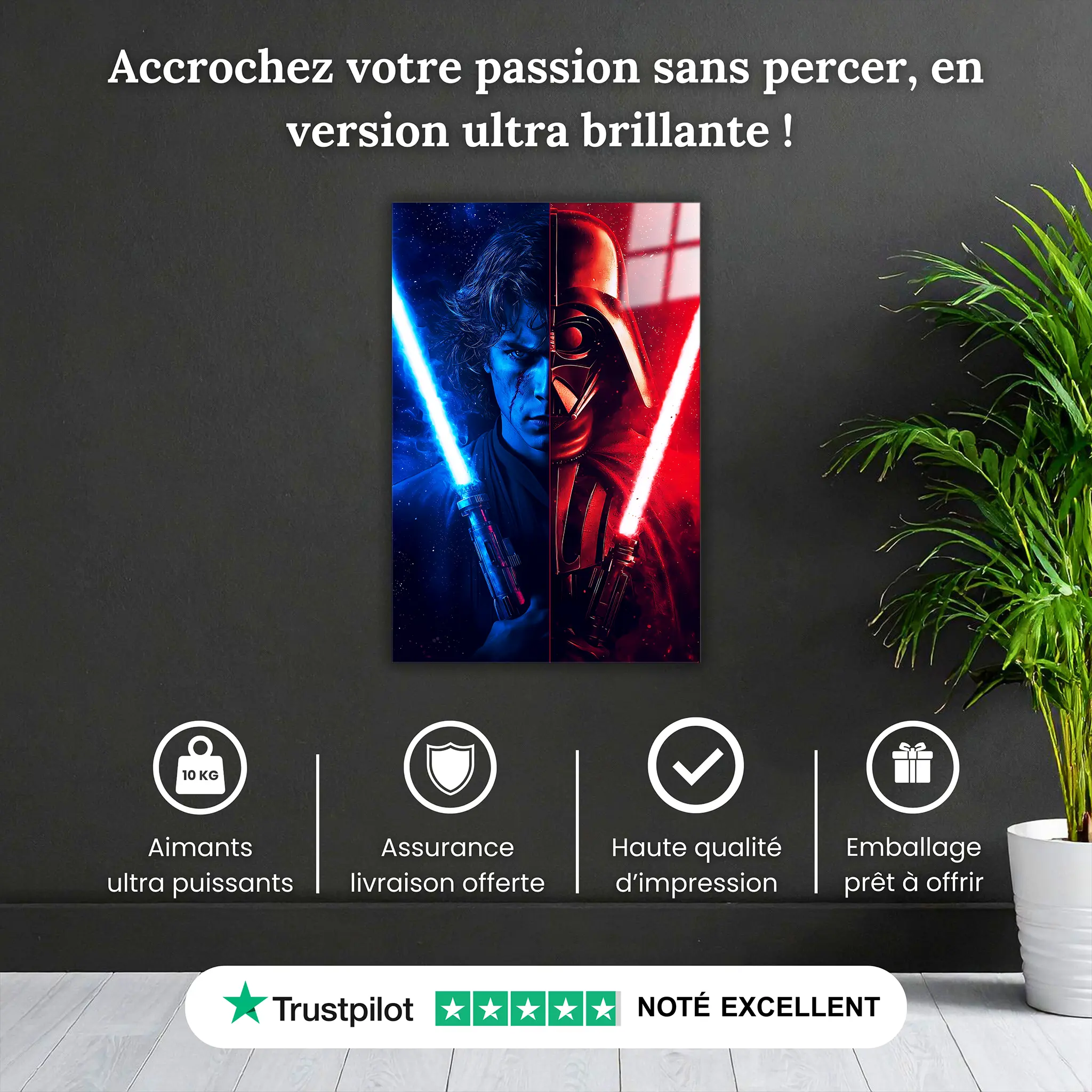 Tableau-mi-anakin-mi-dark-vador-pourquoi-acheter | DreamWay