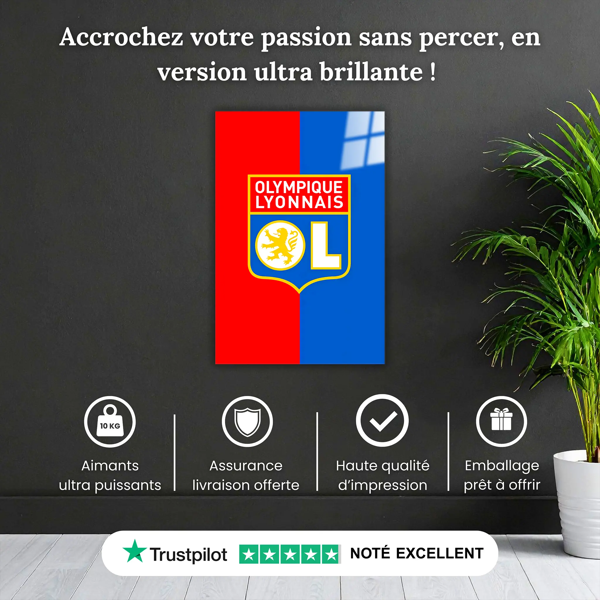 Tableau-ol-club-pourquoi-acheter | DreamWay
