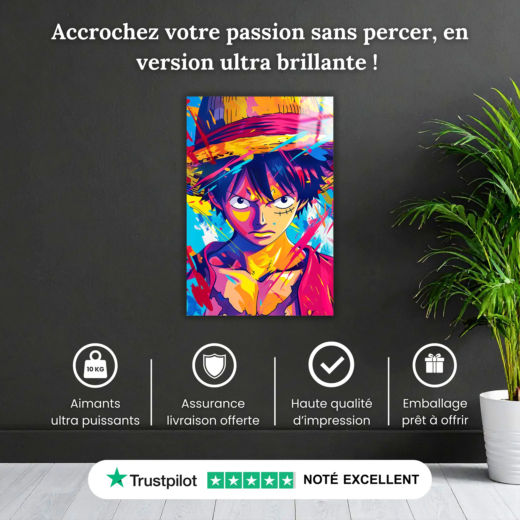 Tableau-one-piece-Luffy-colore-pourquoi-acheter | DreamWay