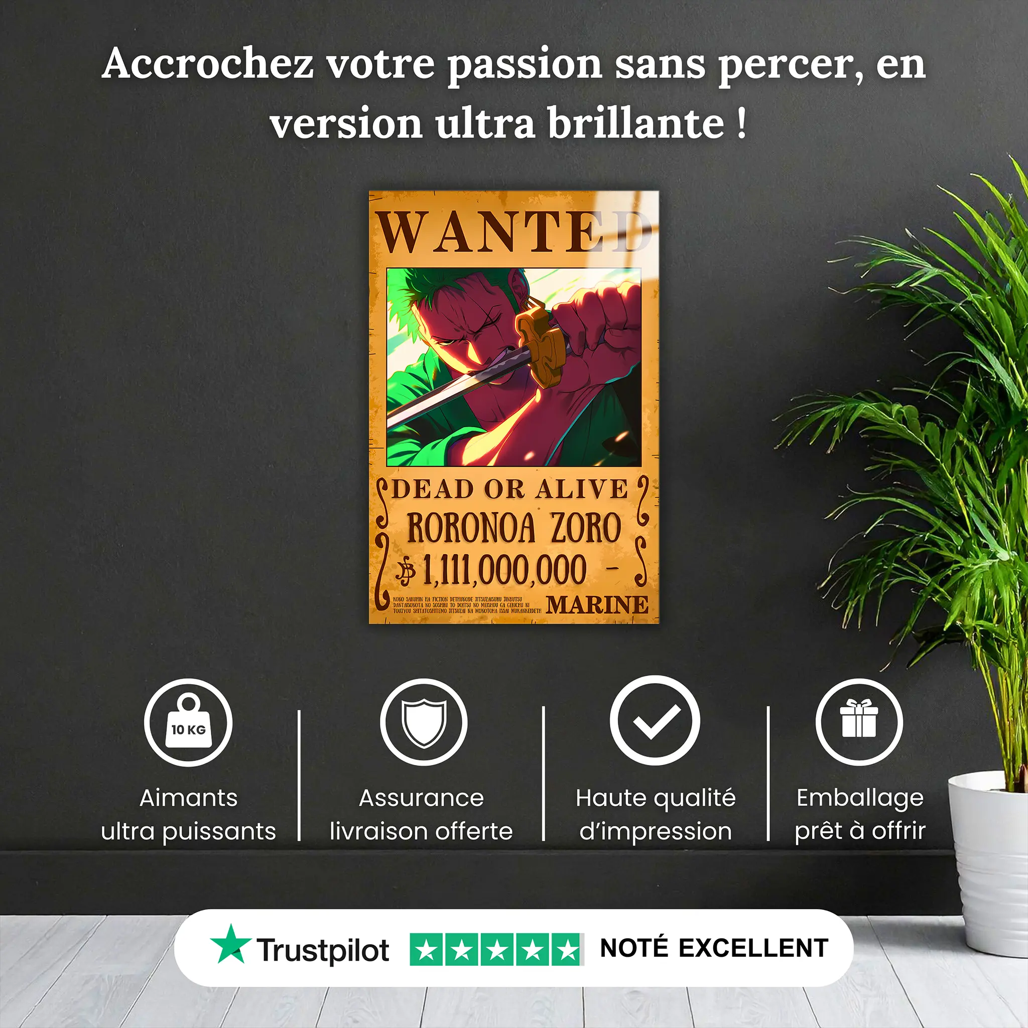Tableau-one-piece-wanted-zoro-pourquoi-acheter | DreamWay