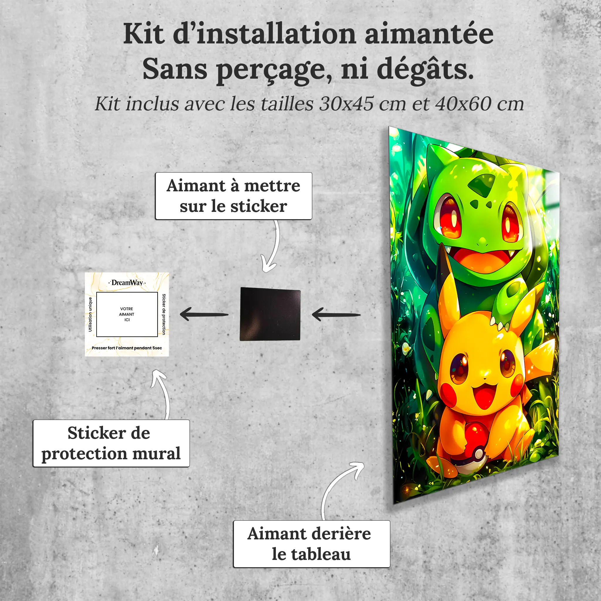 Tableau-pokemon-bulbizarre-et-pikachu-avec-installation-aimantee | DreamWay