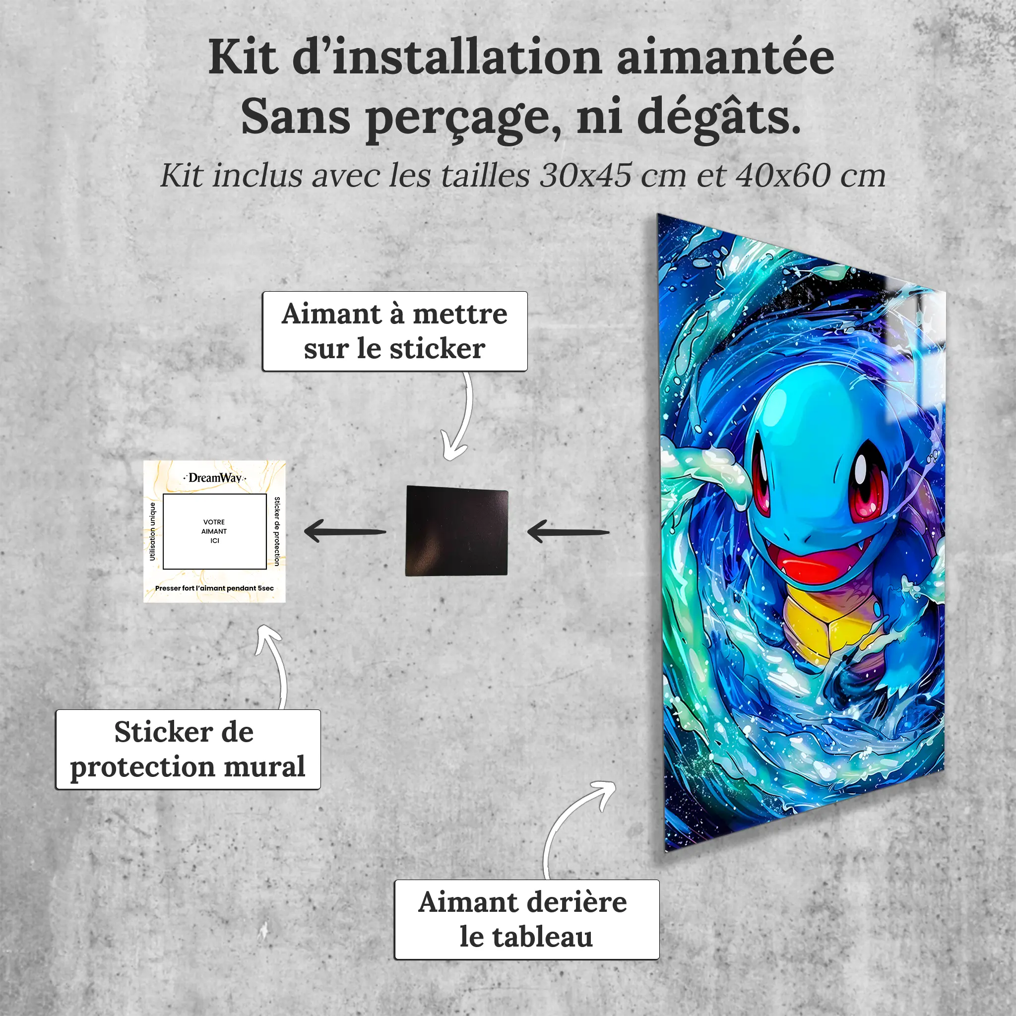 Tableau-pokemon-carapuce-avec-installation-aimantee | DreamWay