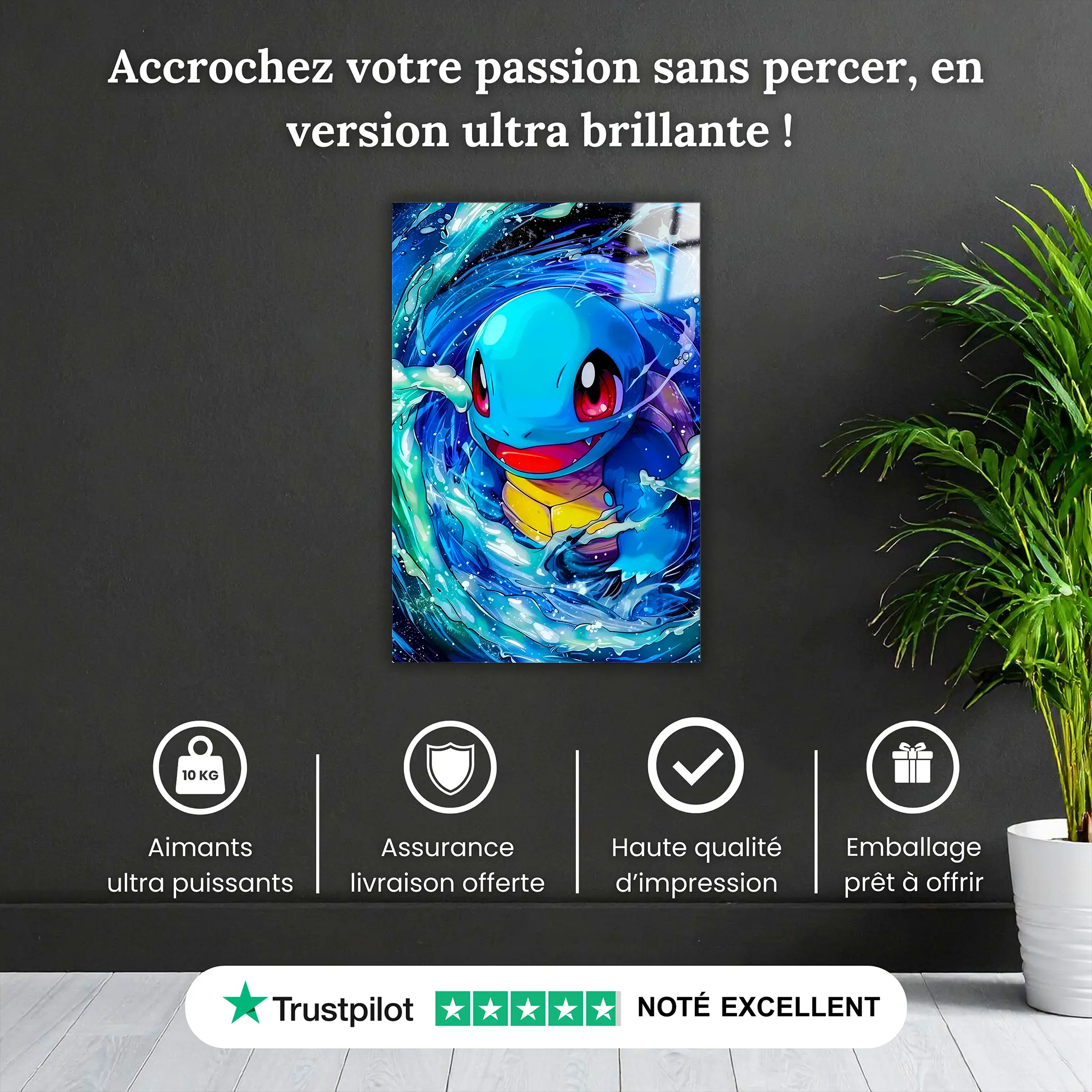 Tableau-pokemon-carapuce-pourquoi-acheter | DreamWay