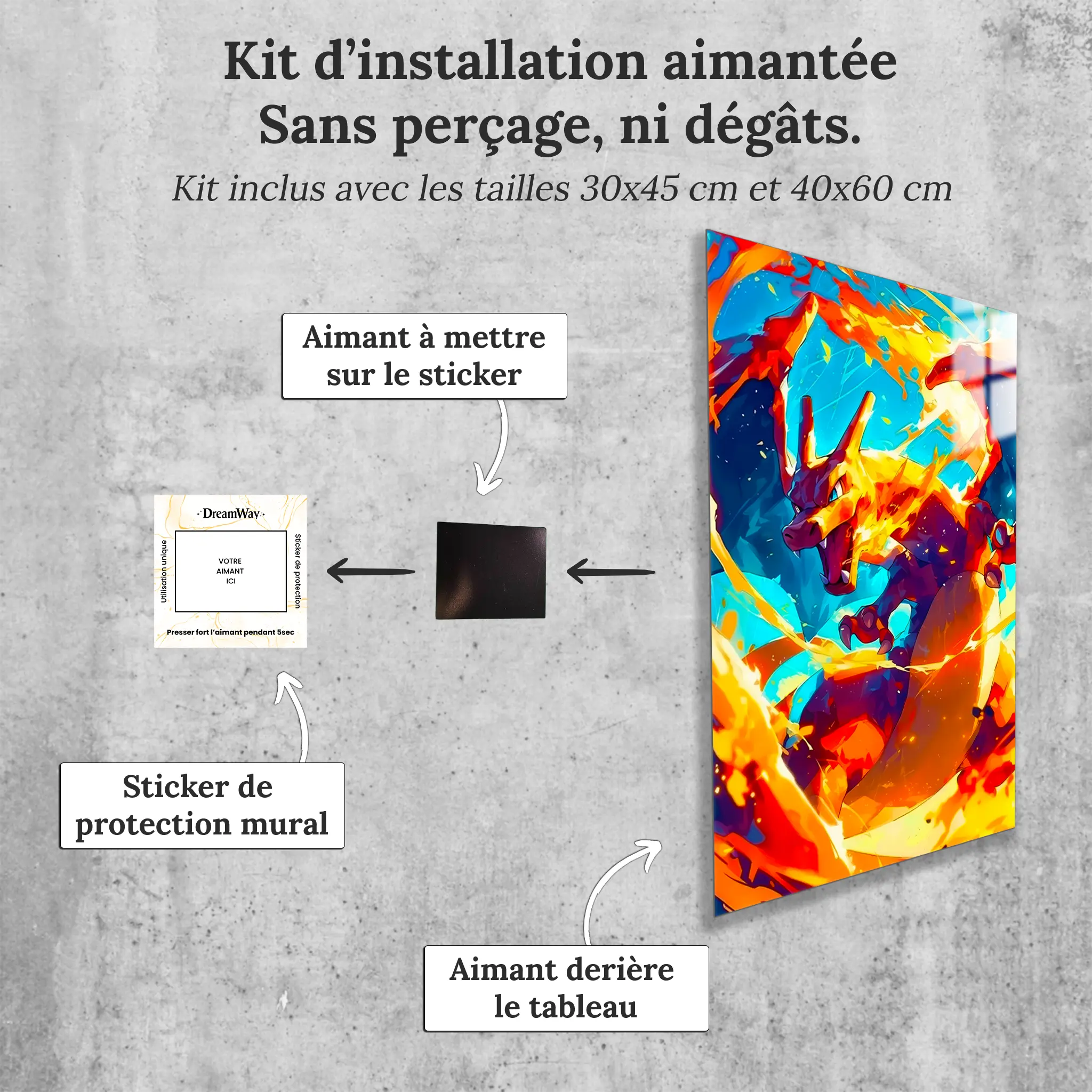 Tableau-pokemon-dracofeu-avec-installation-aimantee | DreamWay