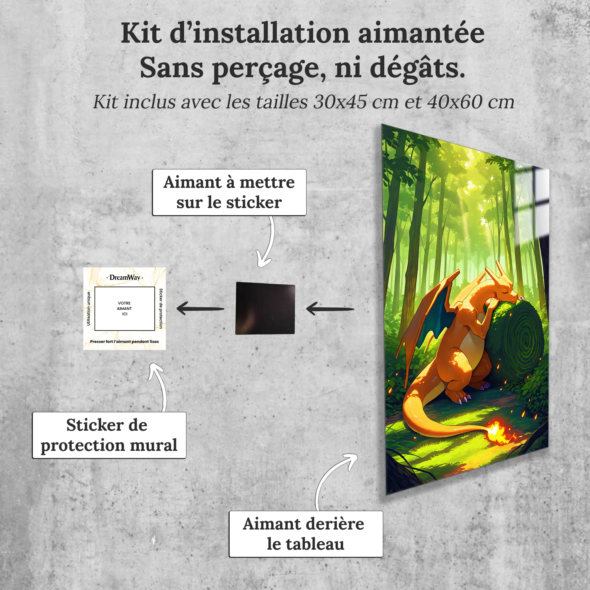 Tableau-pokemon-dracofeu-nature-avec-installation-aimantee | DreamWay