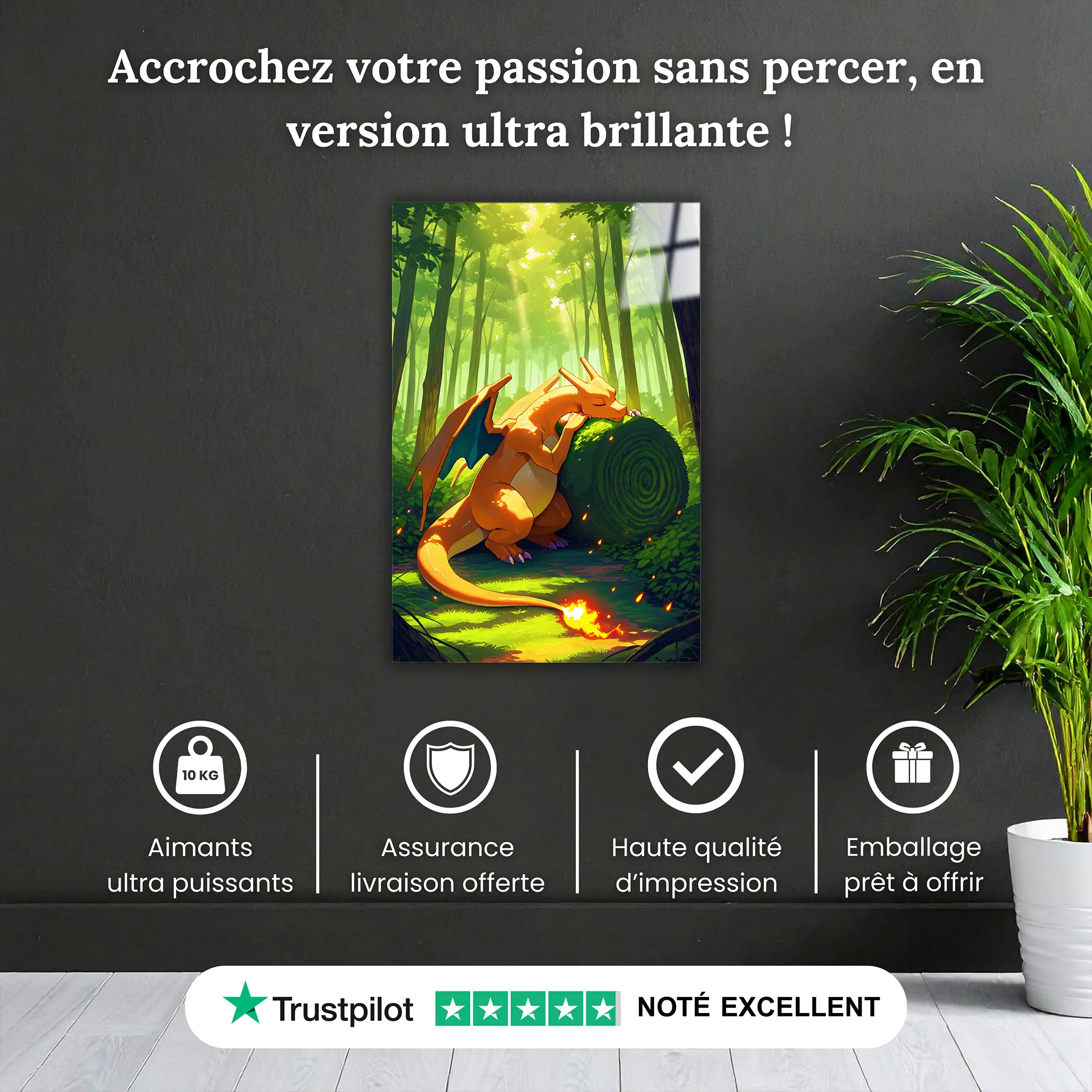 Tableau-pokemon-dracofeu-nature-pourquoi-acheter | DreamWay