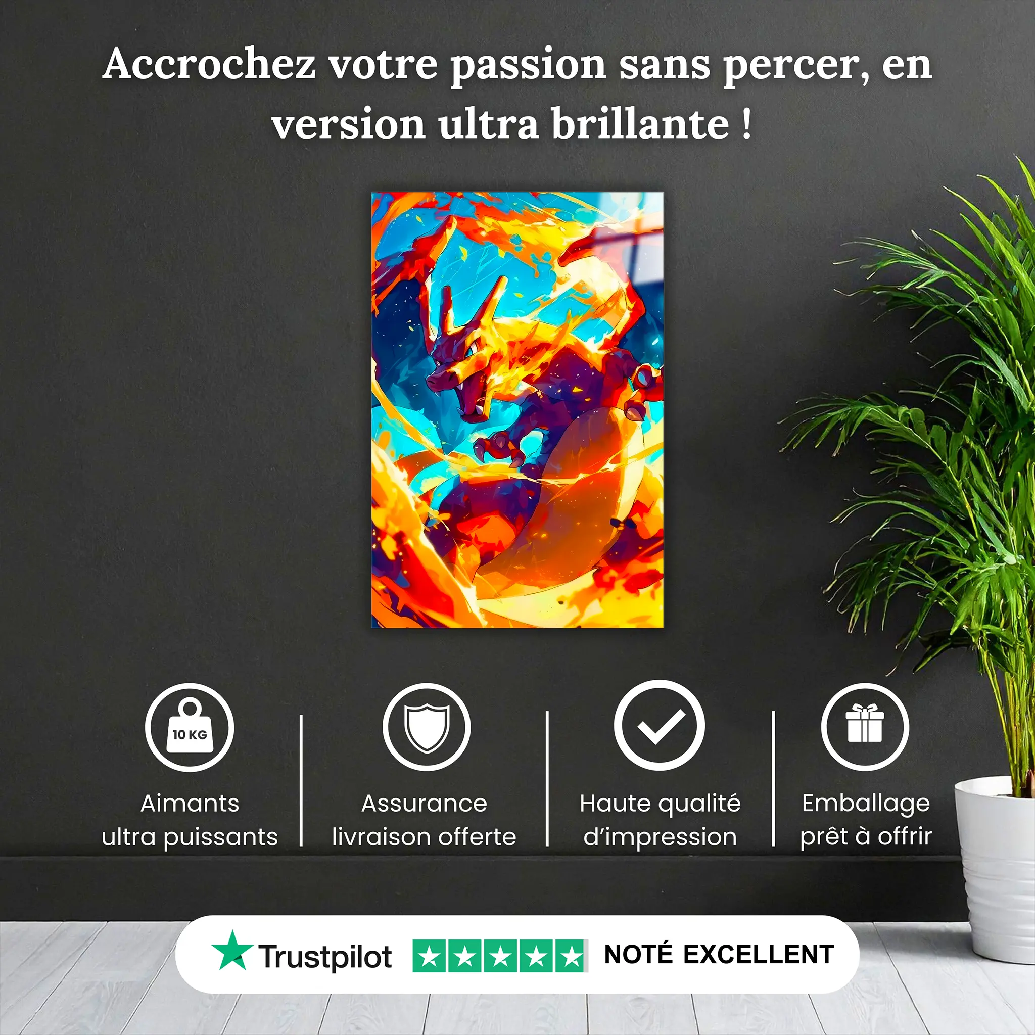 Tableau-pokemon-dracofeu-pourquoi-acheter | DreamWay